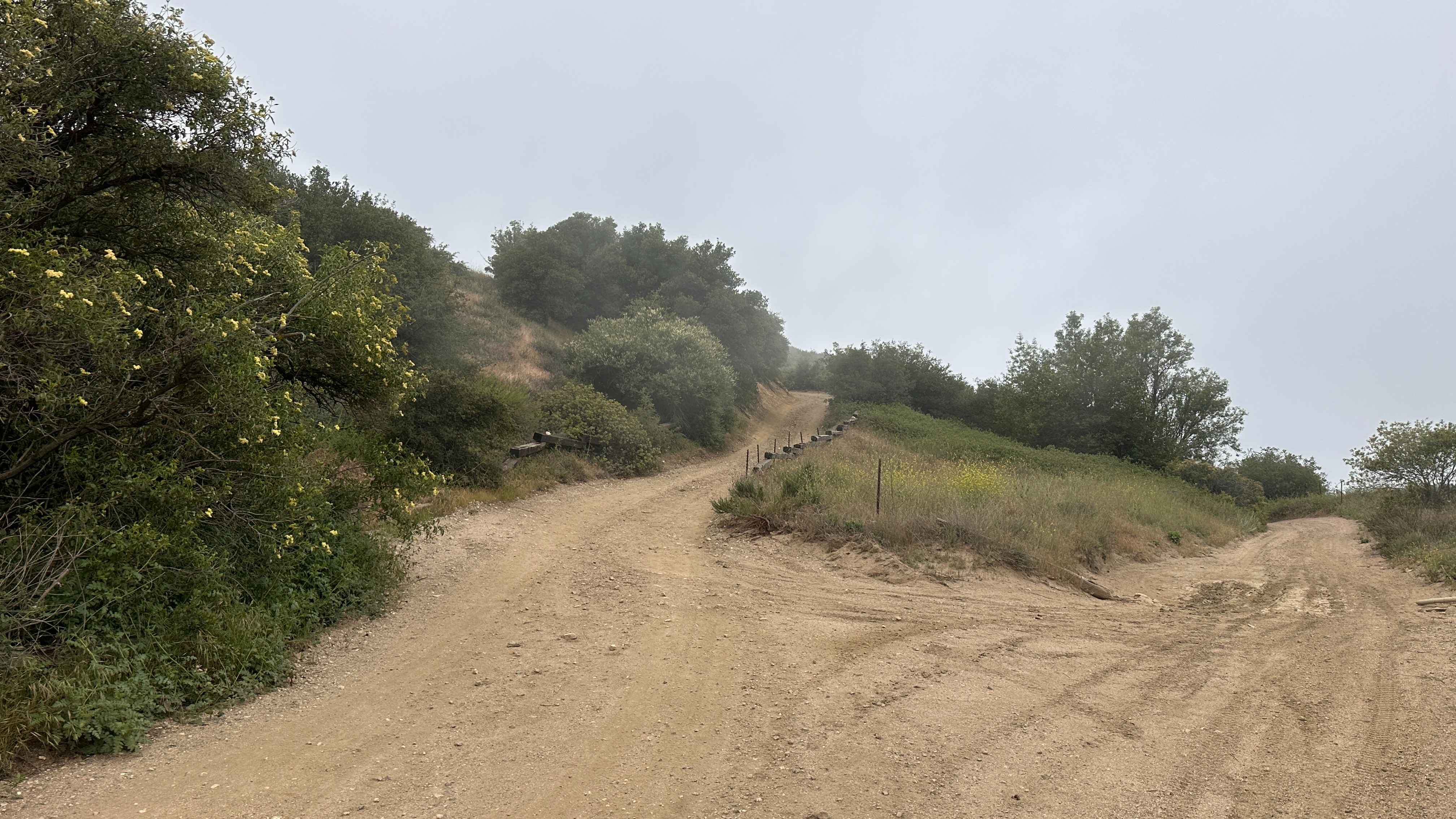 Marshall Peak Summit