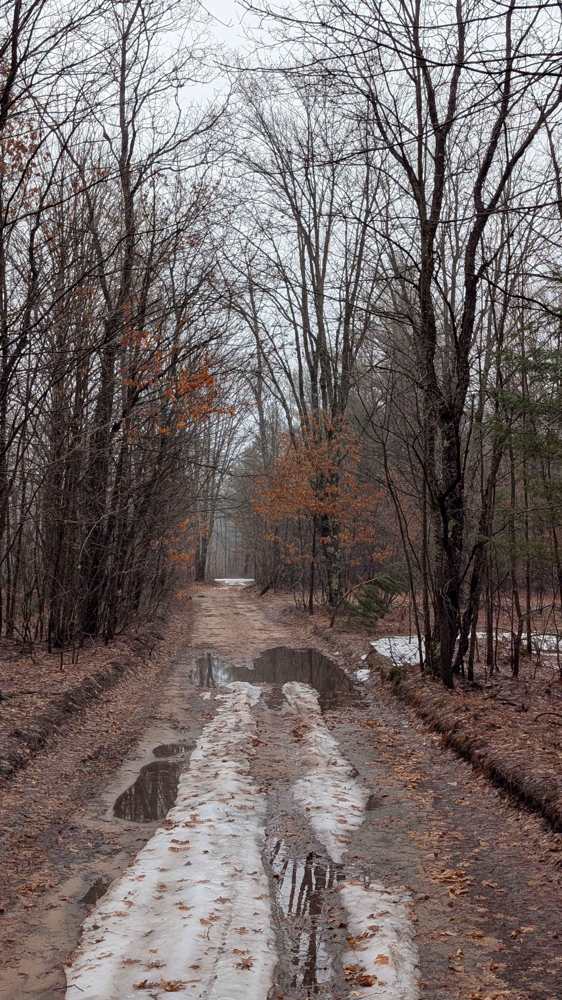 Cranberry Lake Rd