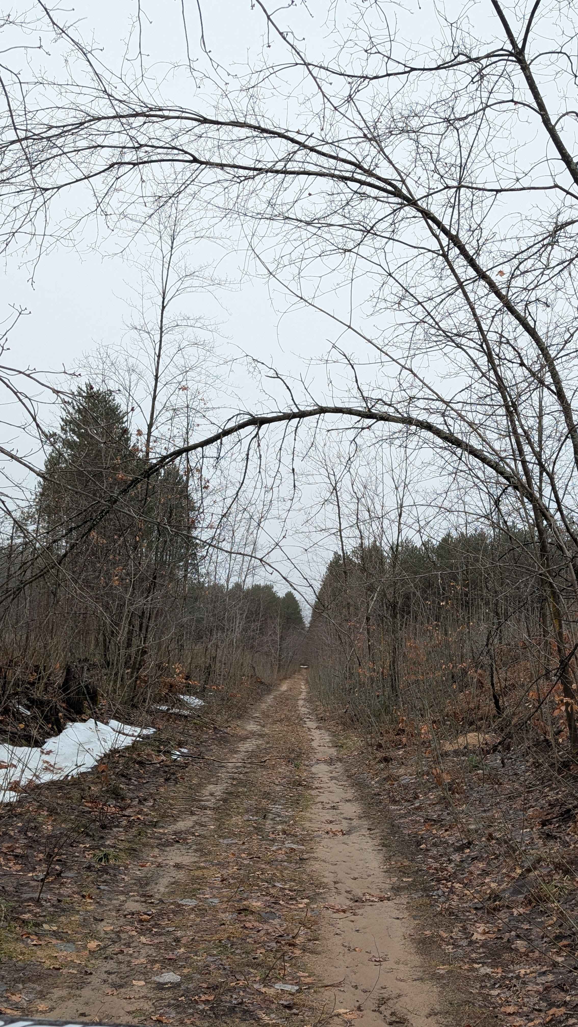 Muskrat Rd SE