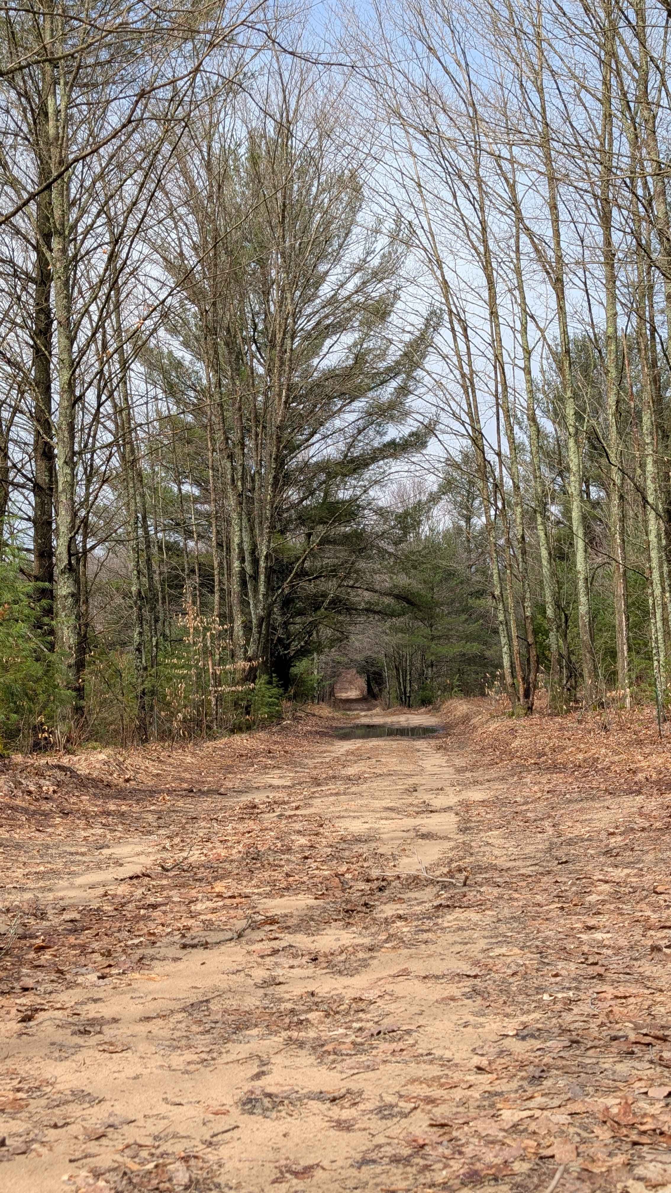 Hardwood Lane