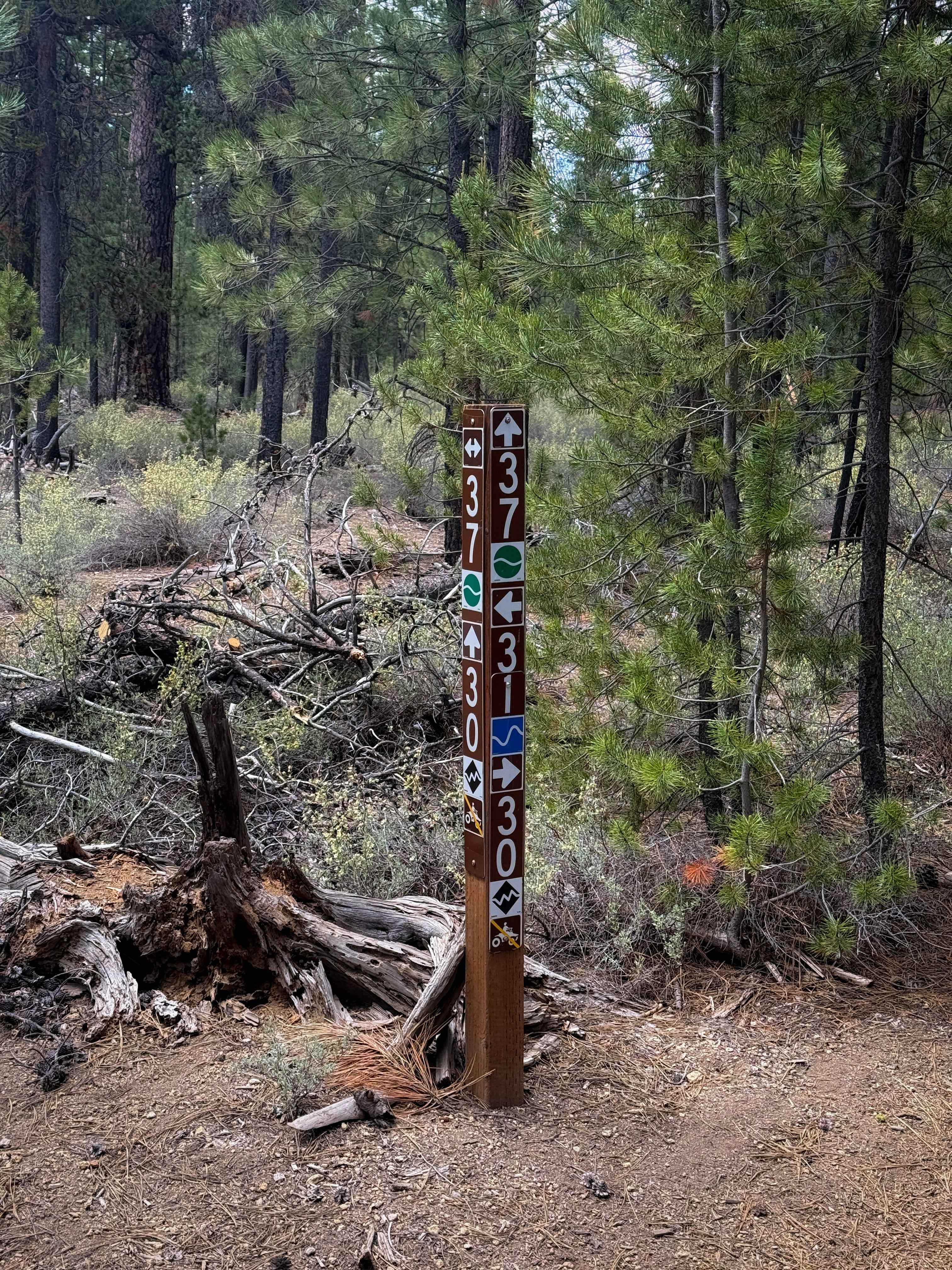 Trail 37