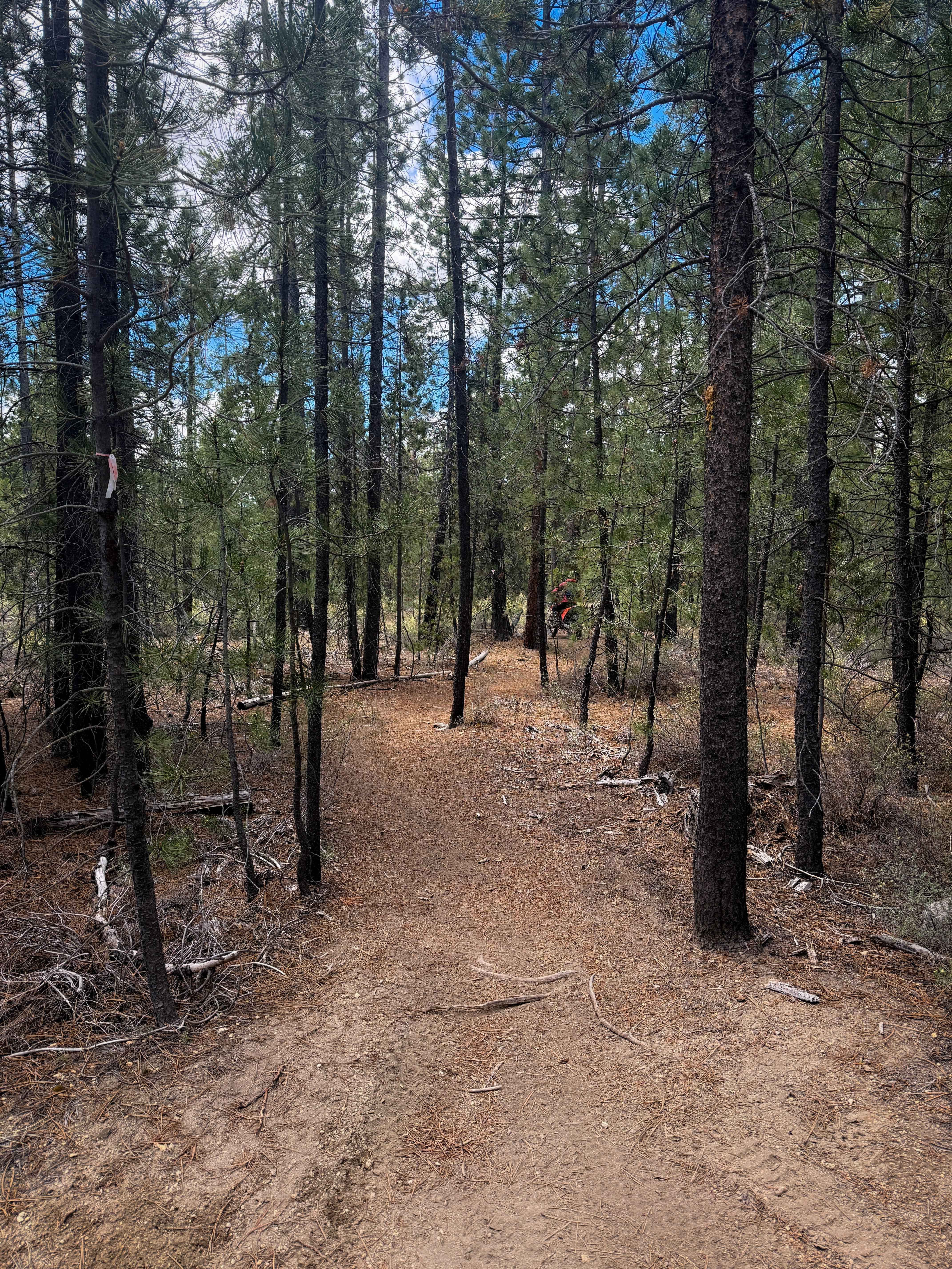 Trail 37