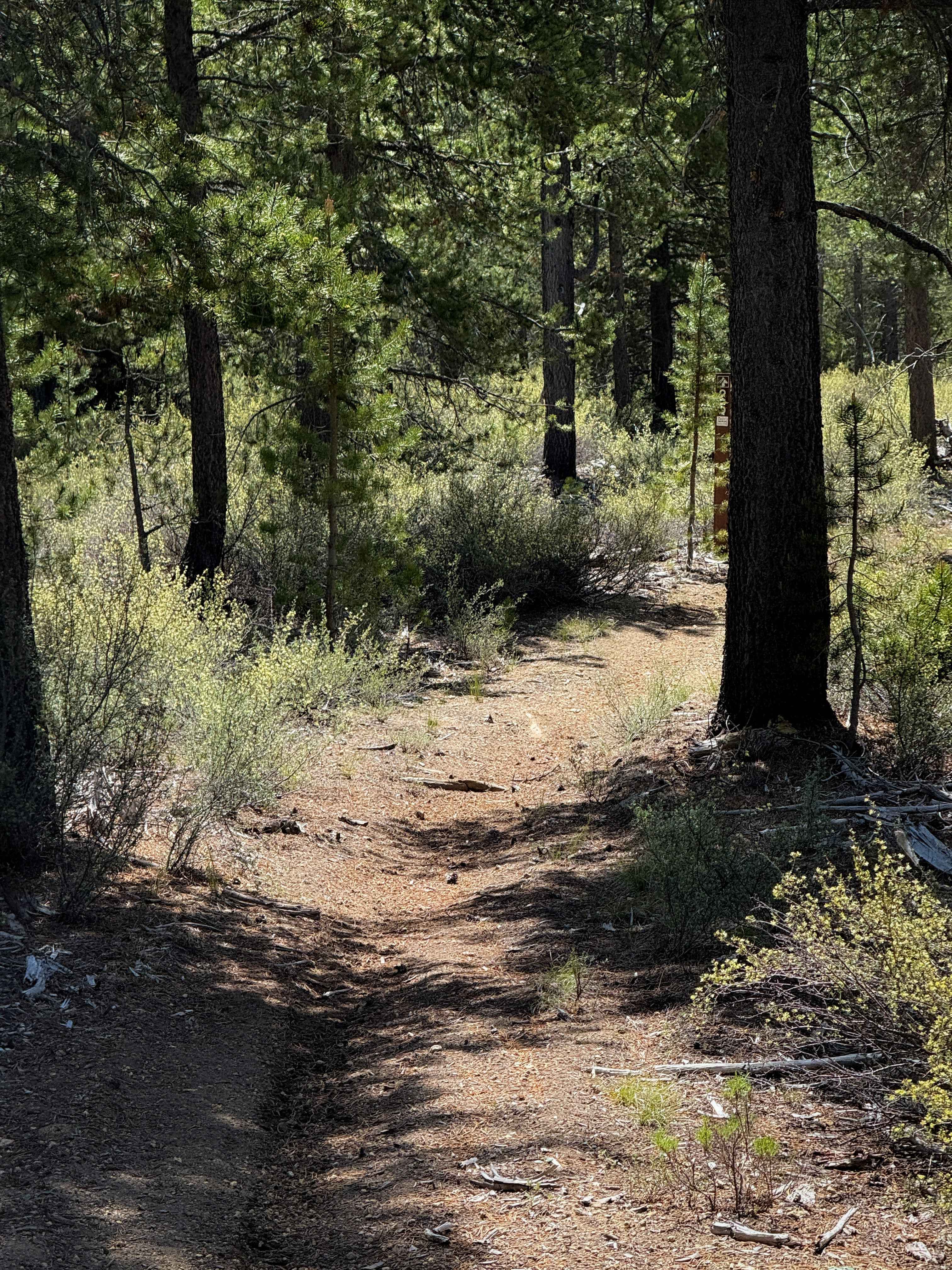 Trail 25