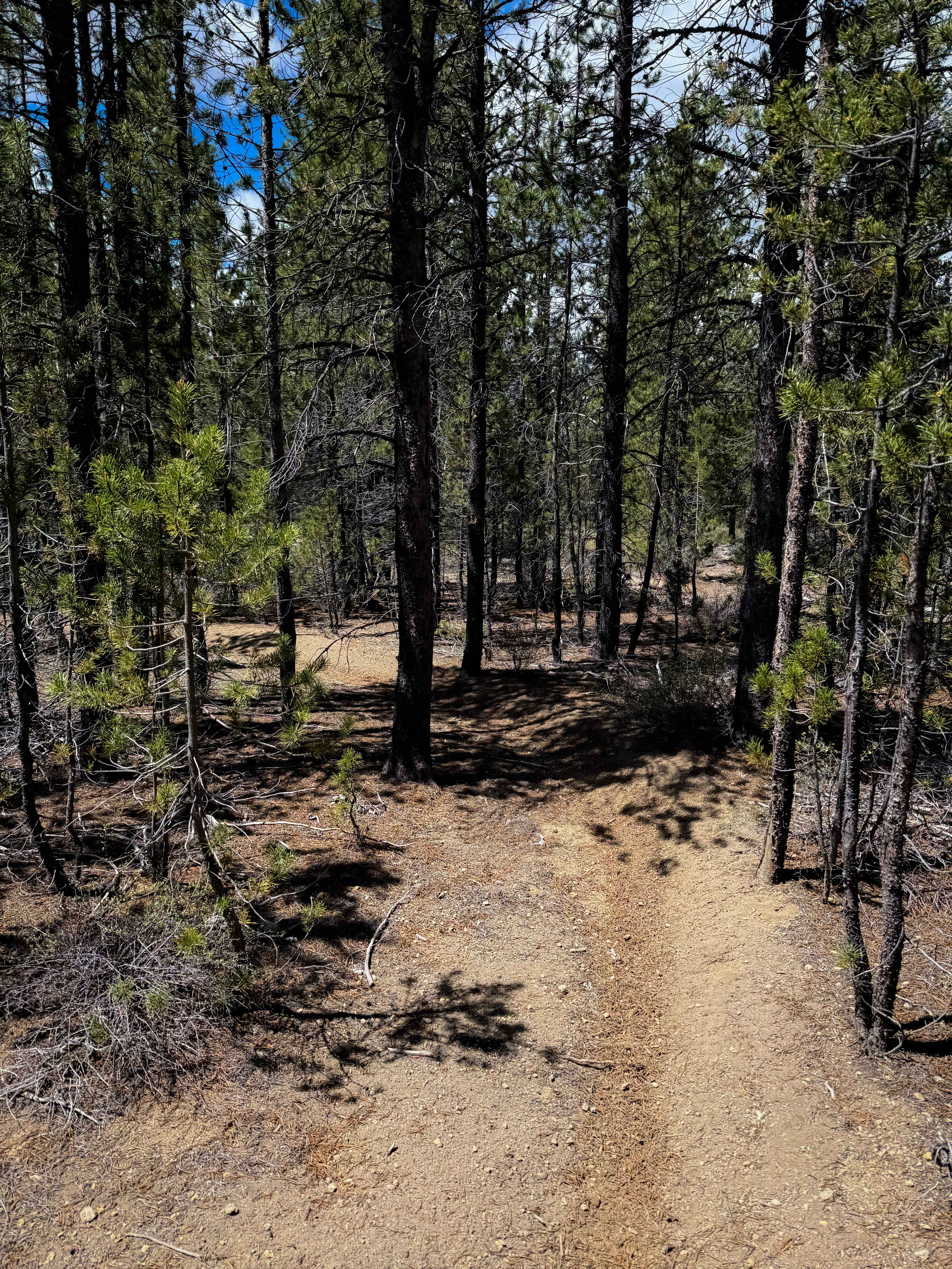 Trail 25