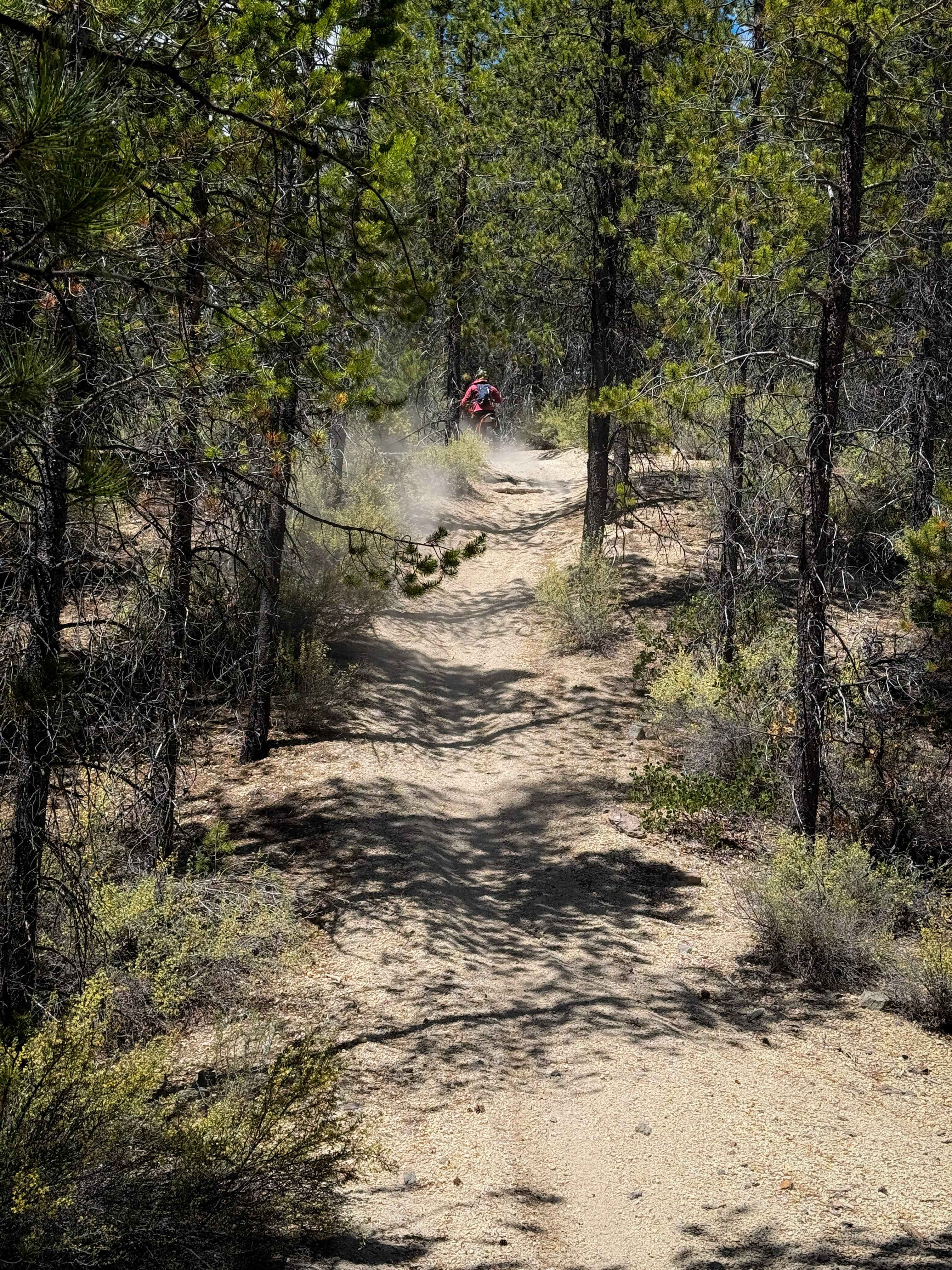 Trail 14