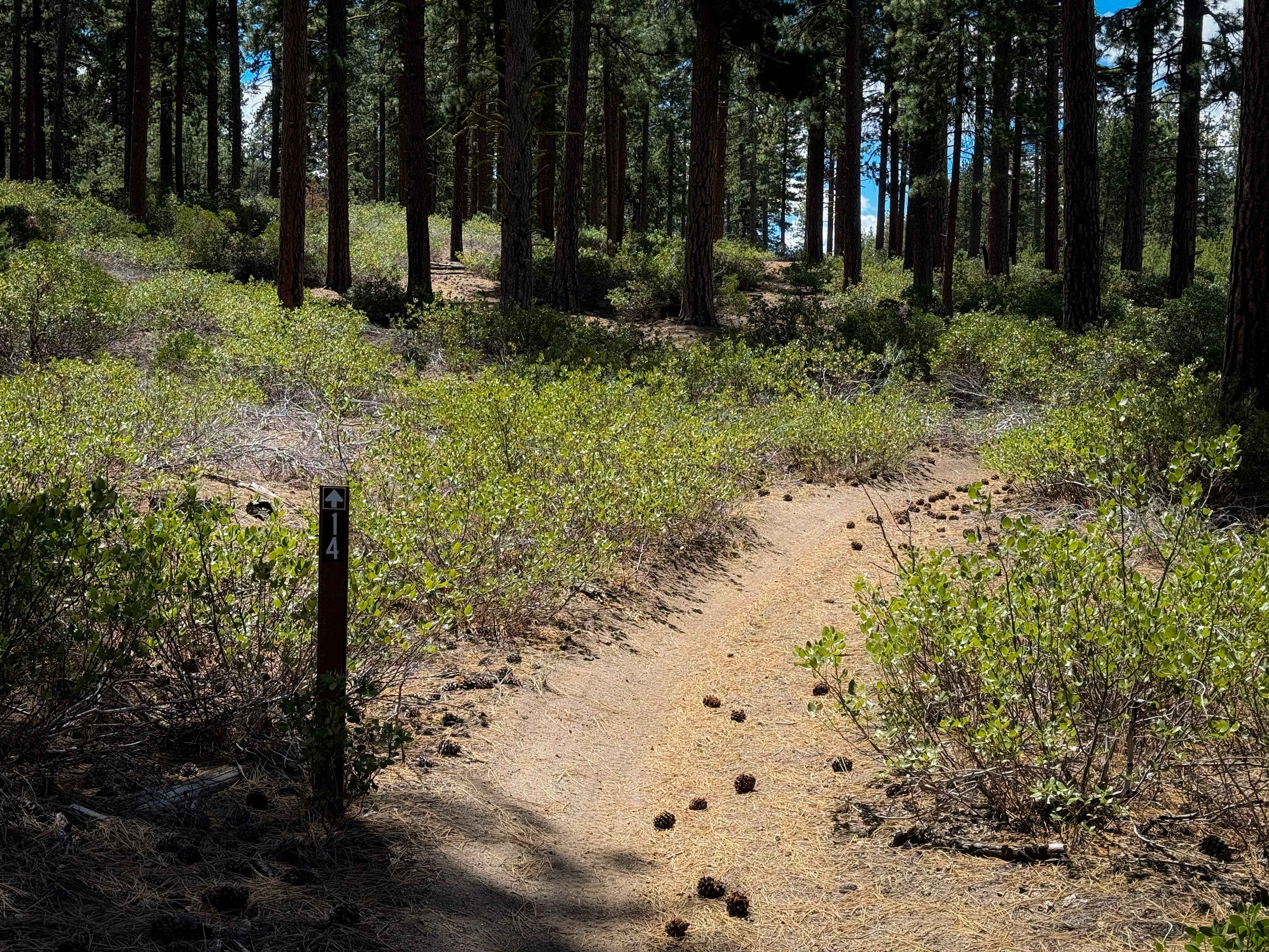 Trail 14