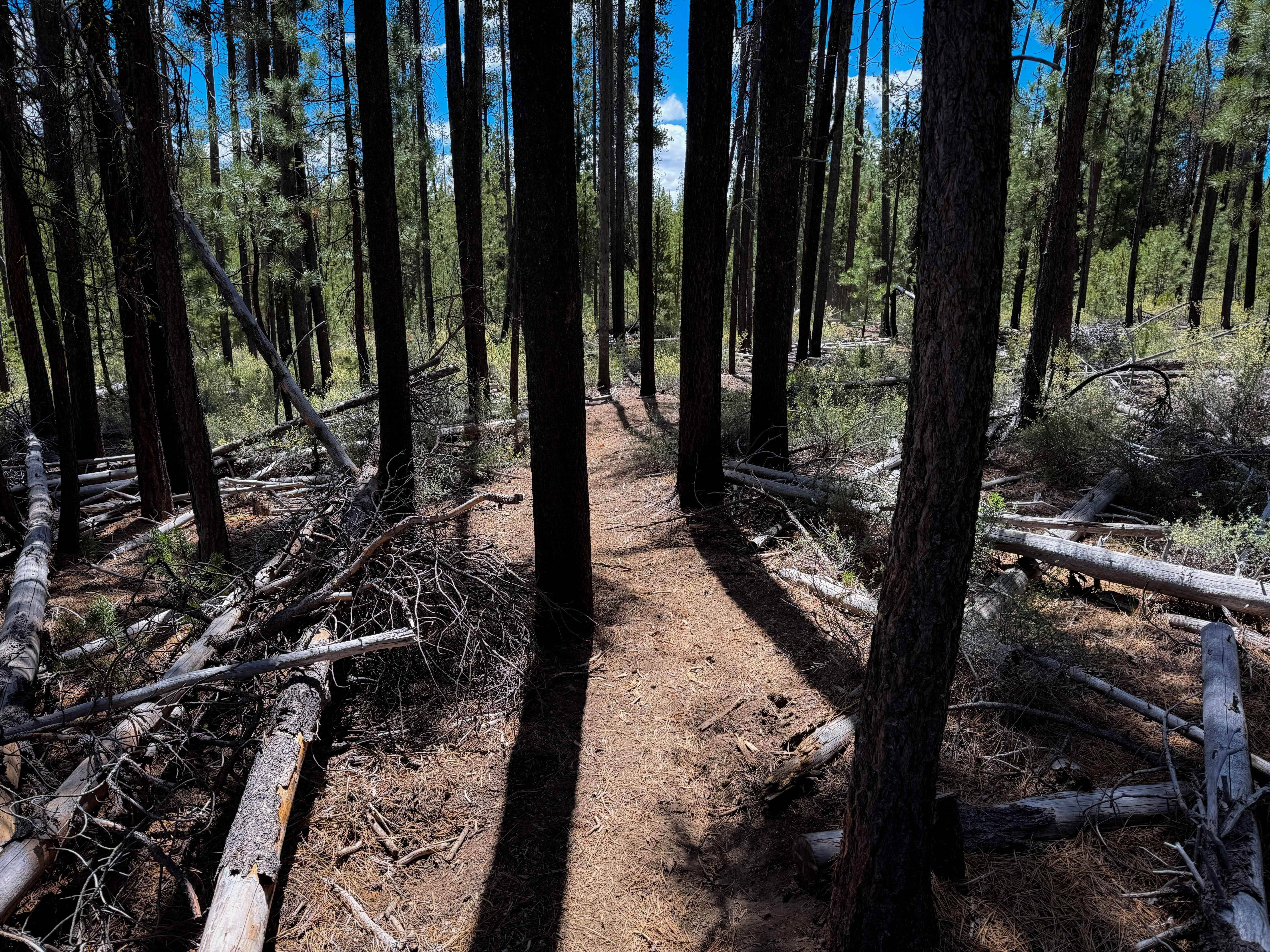 Trail 21