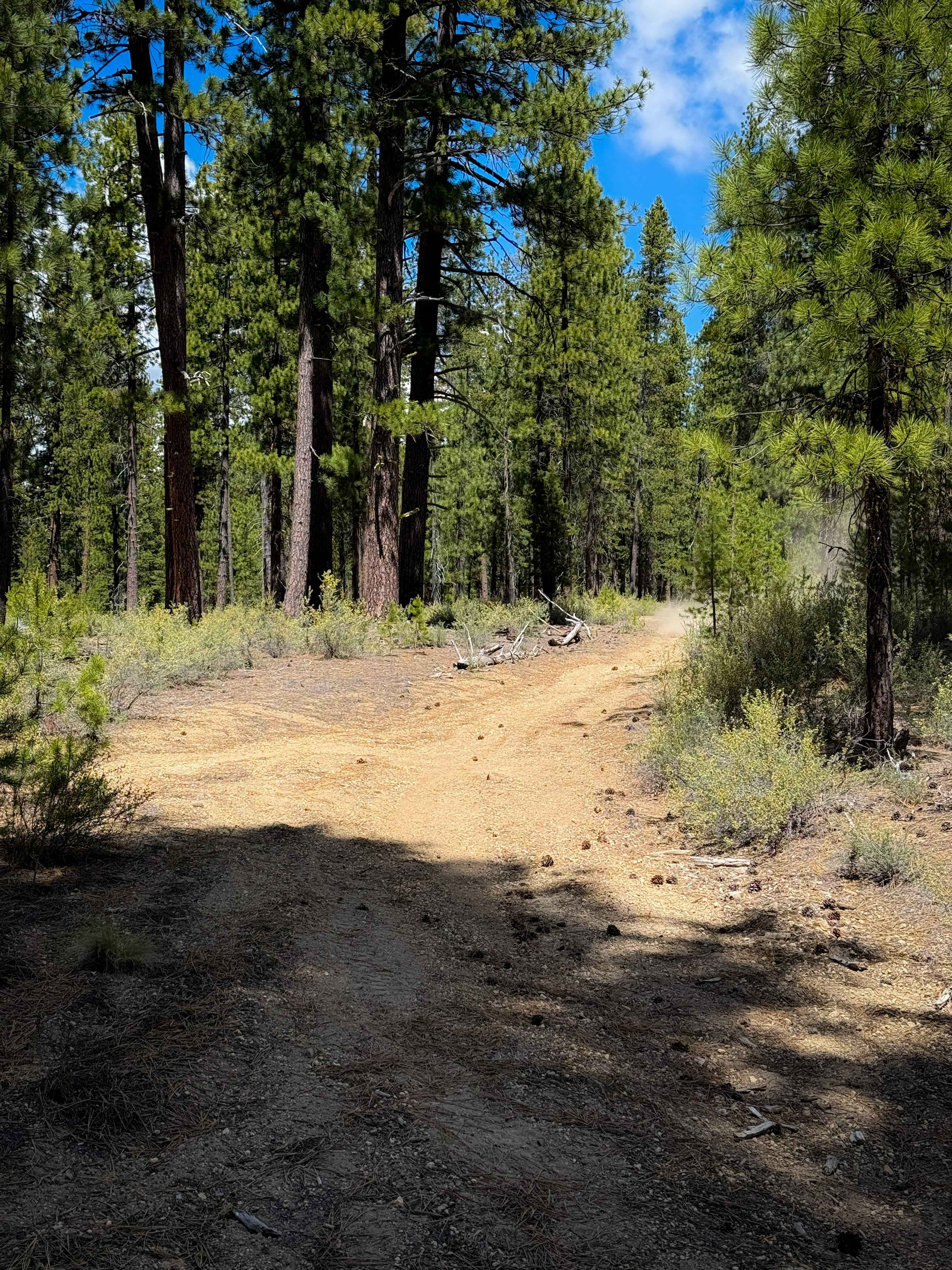 Trail 12