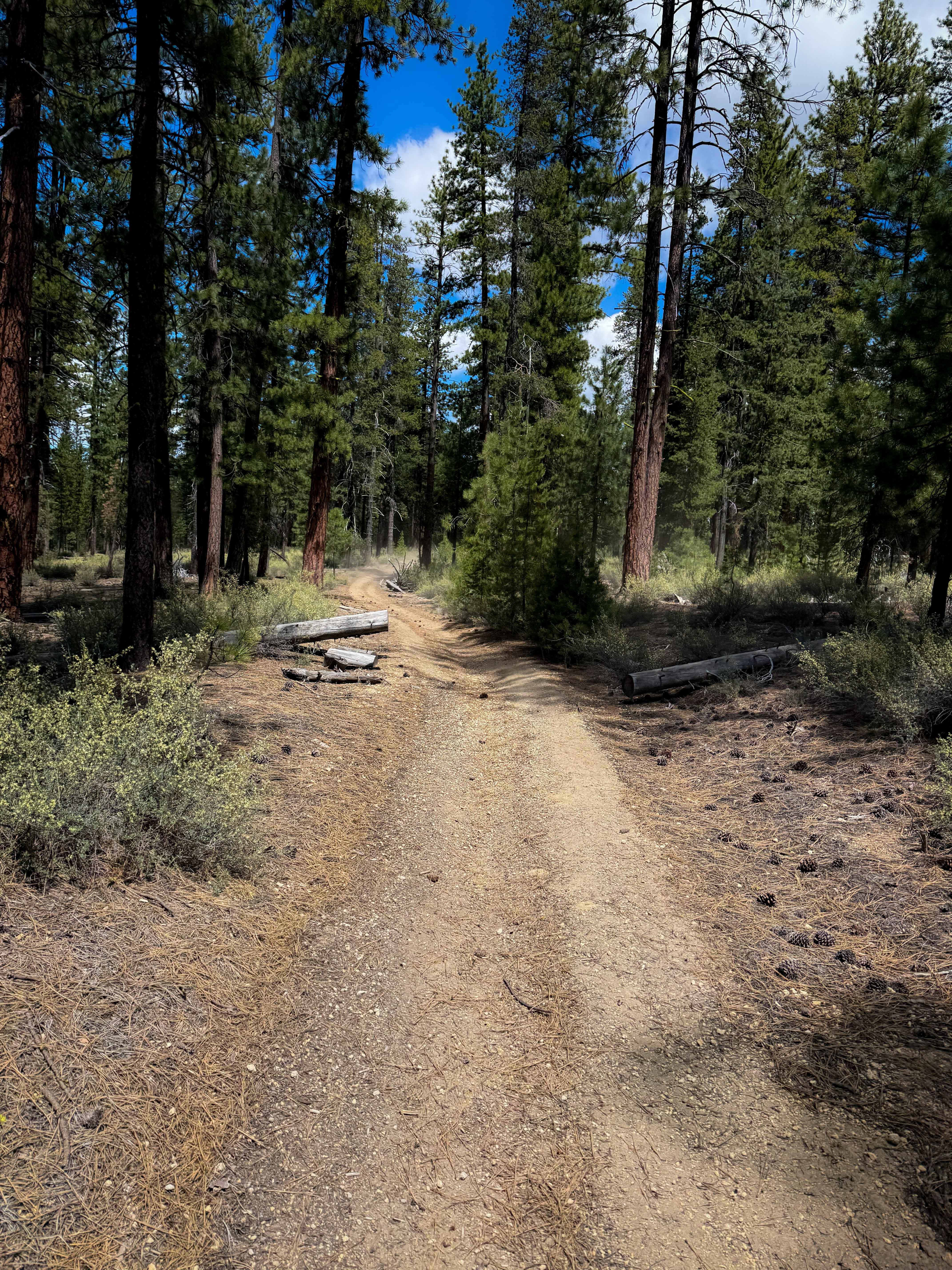 Trail 12