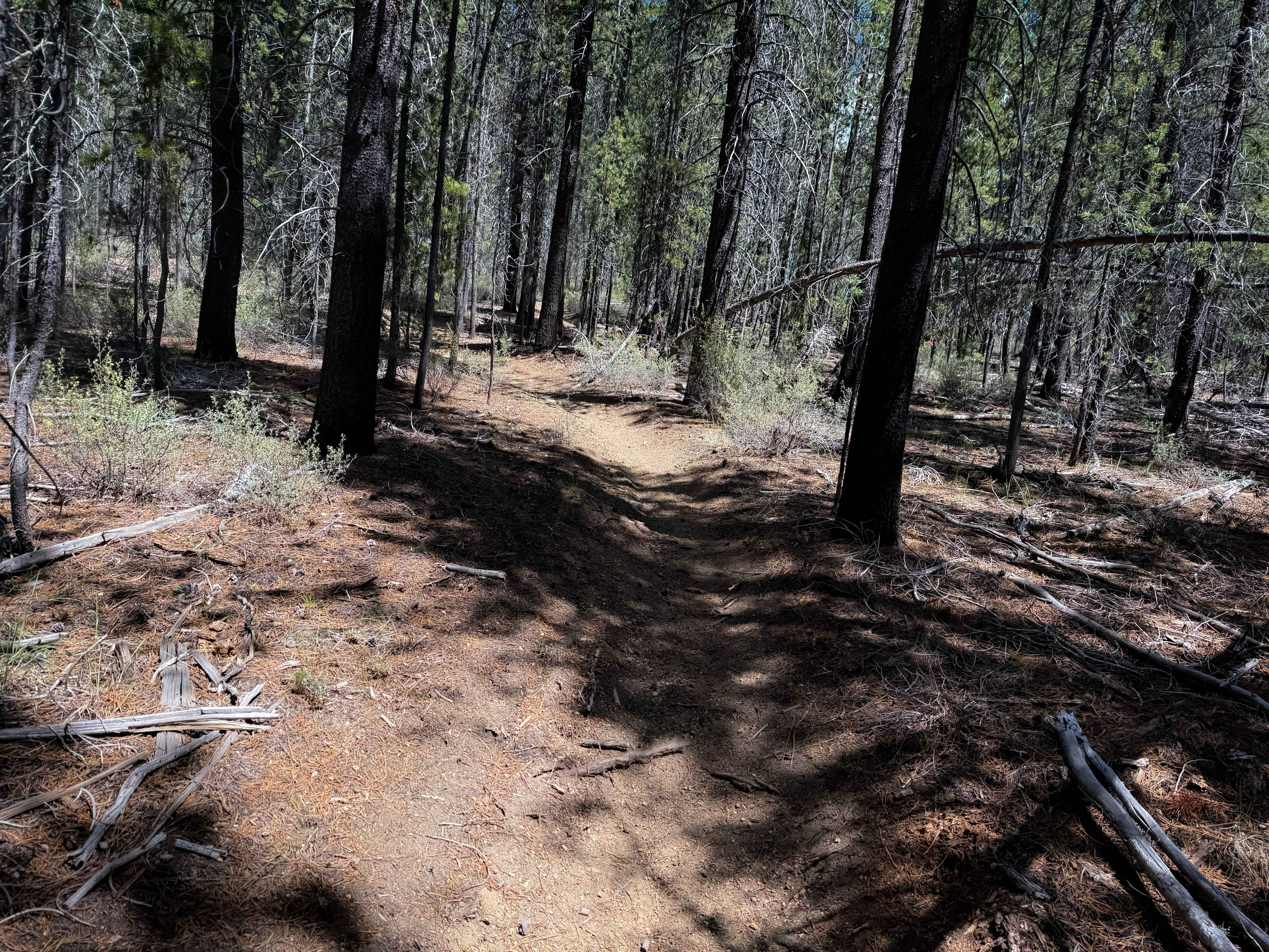 Trail 16