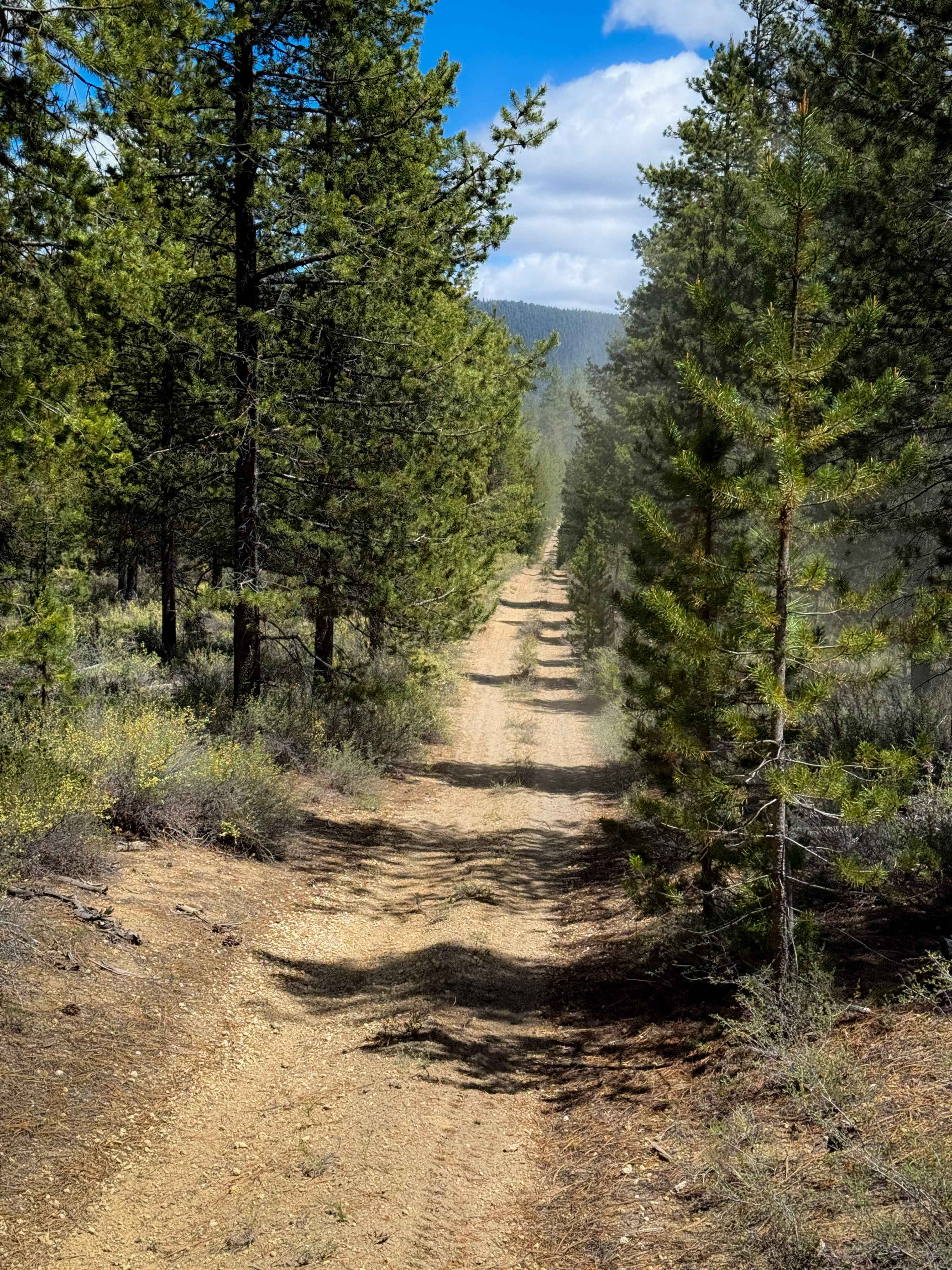 Trail 18