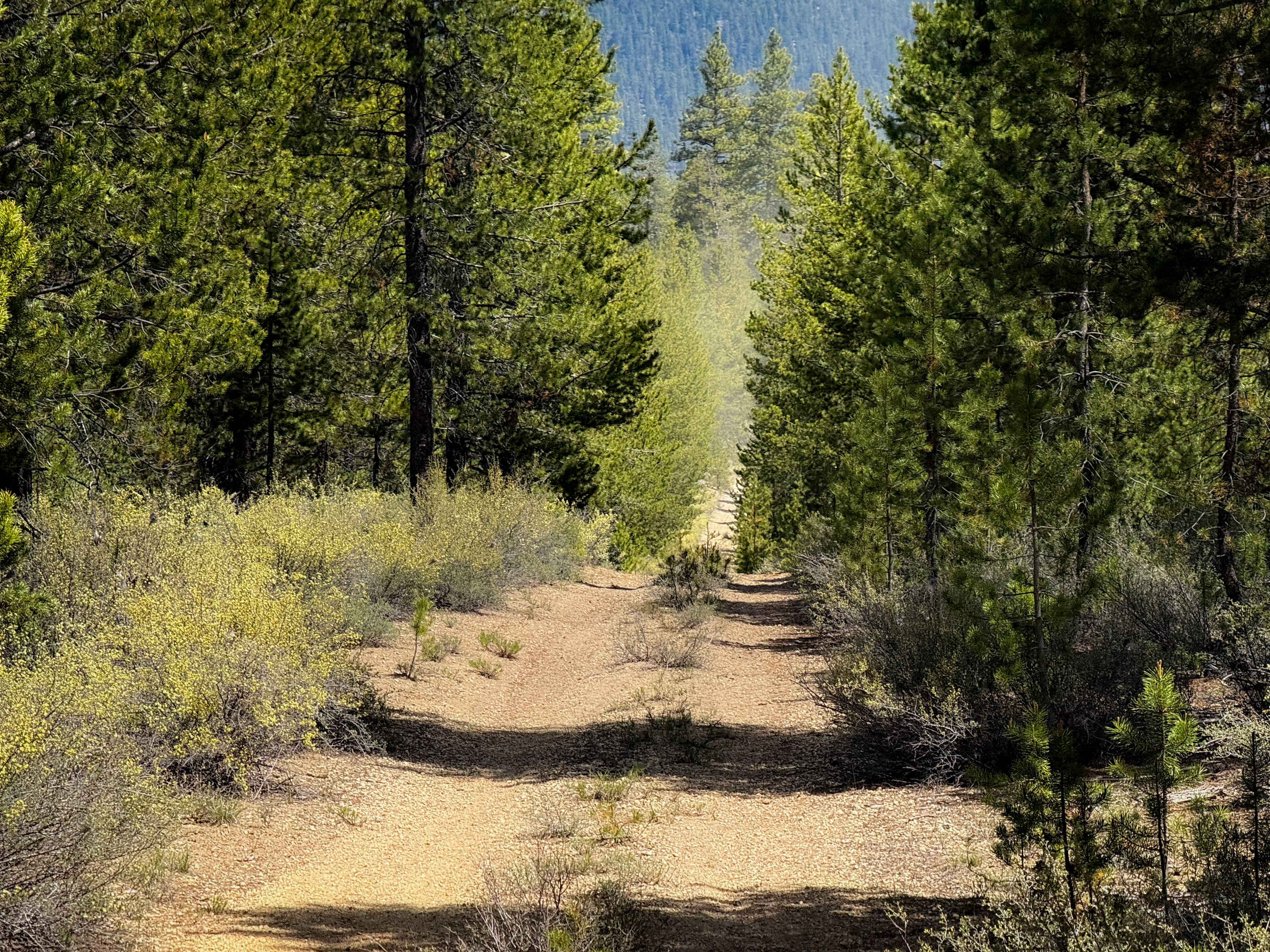 Trail 18