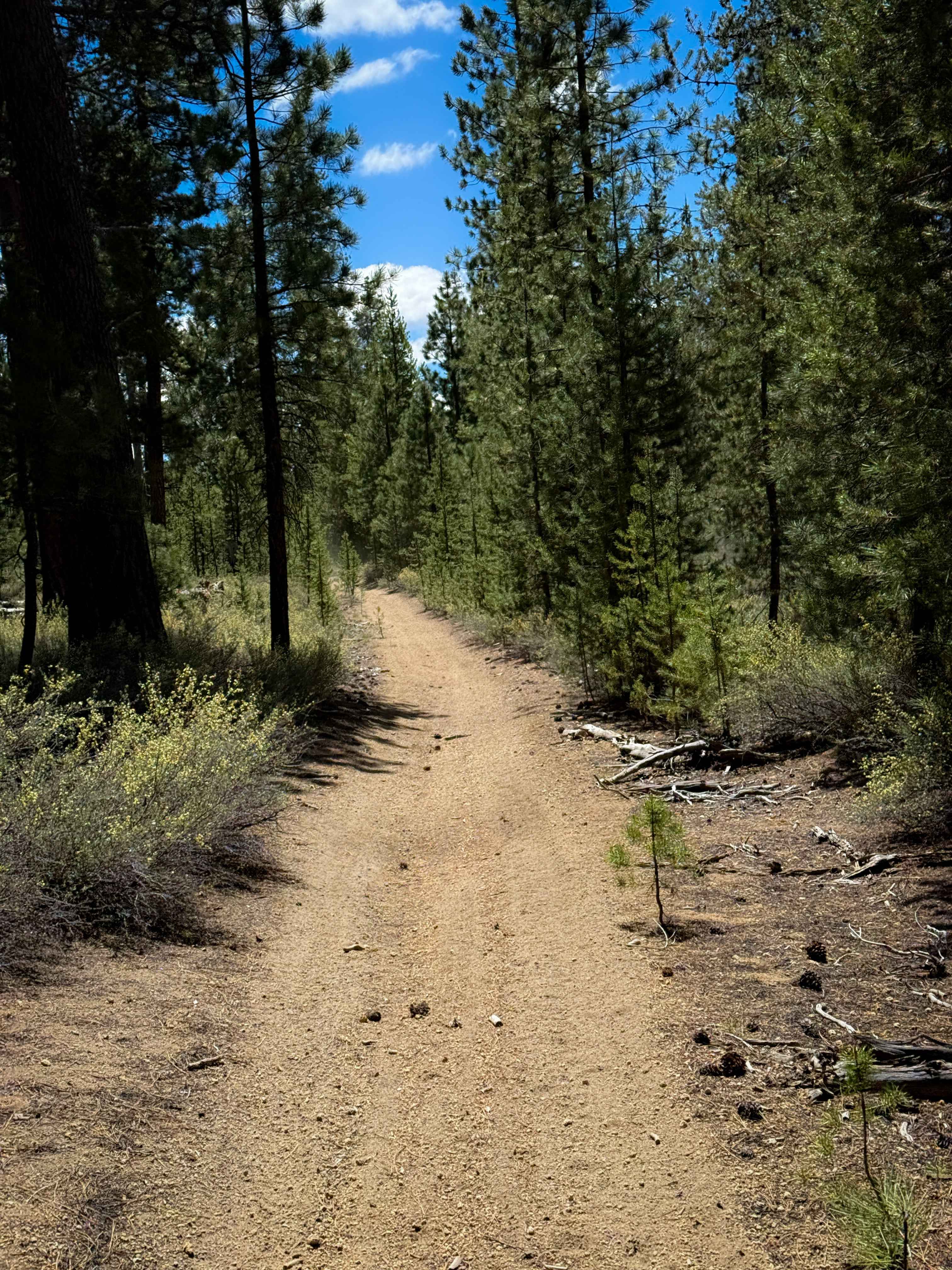 Trail 20