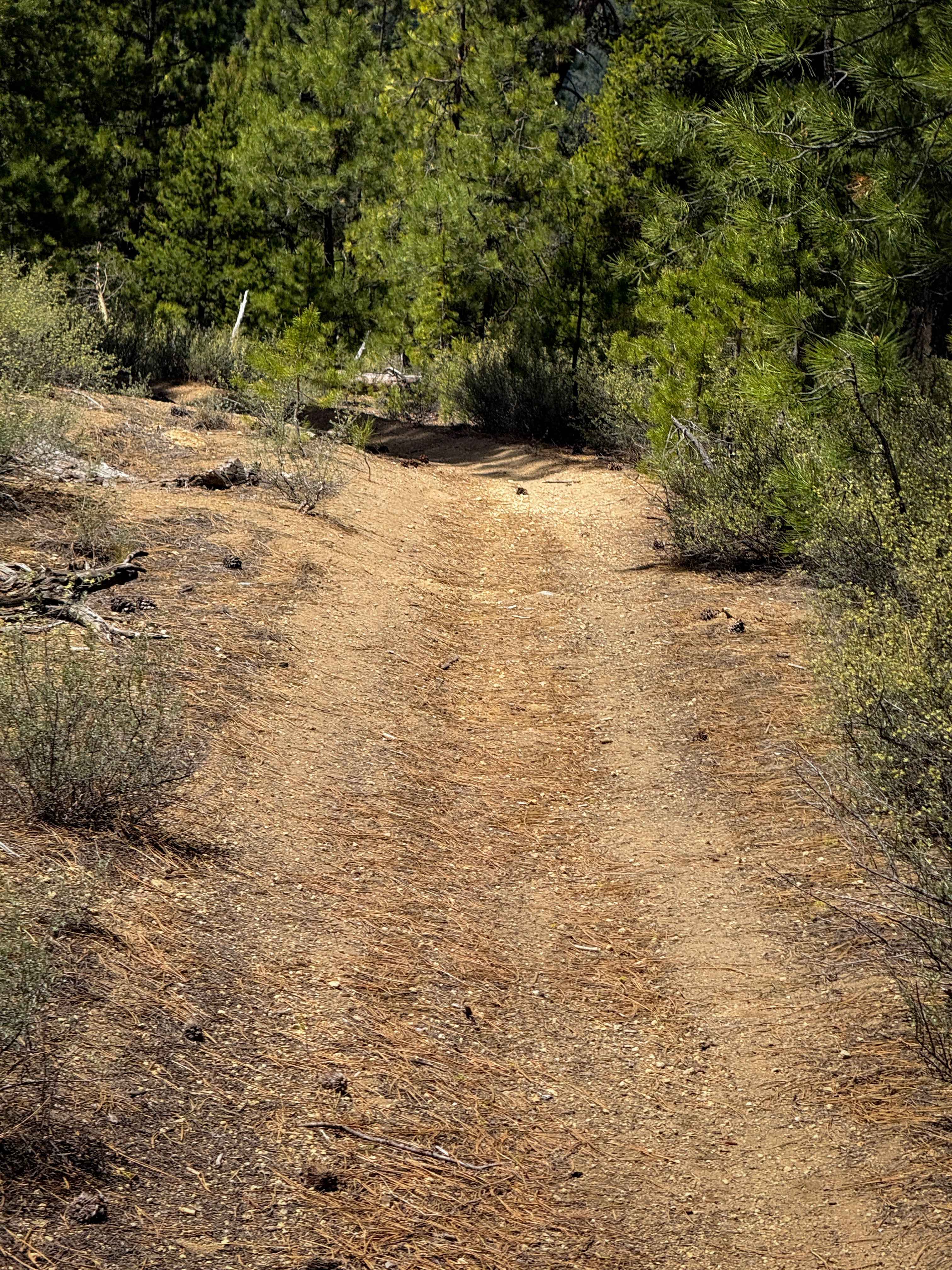 Trail 20