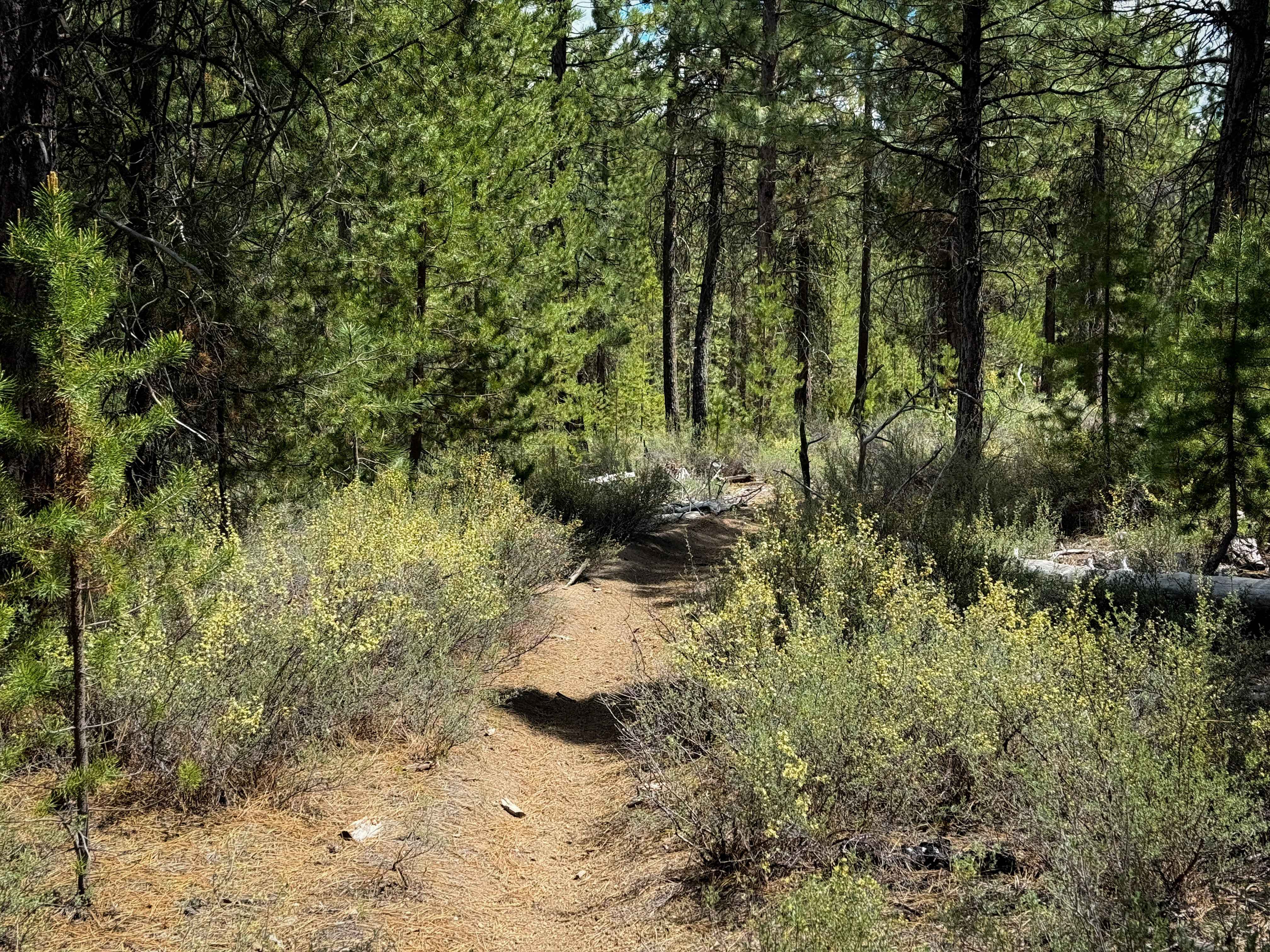 Trail 26