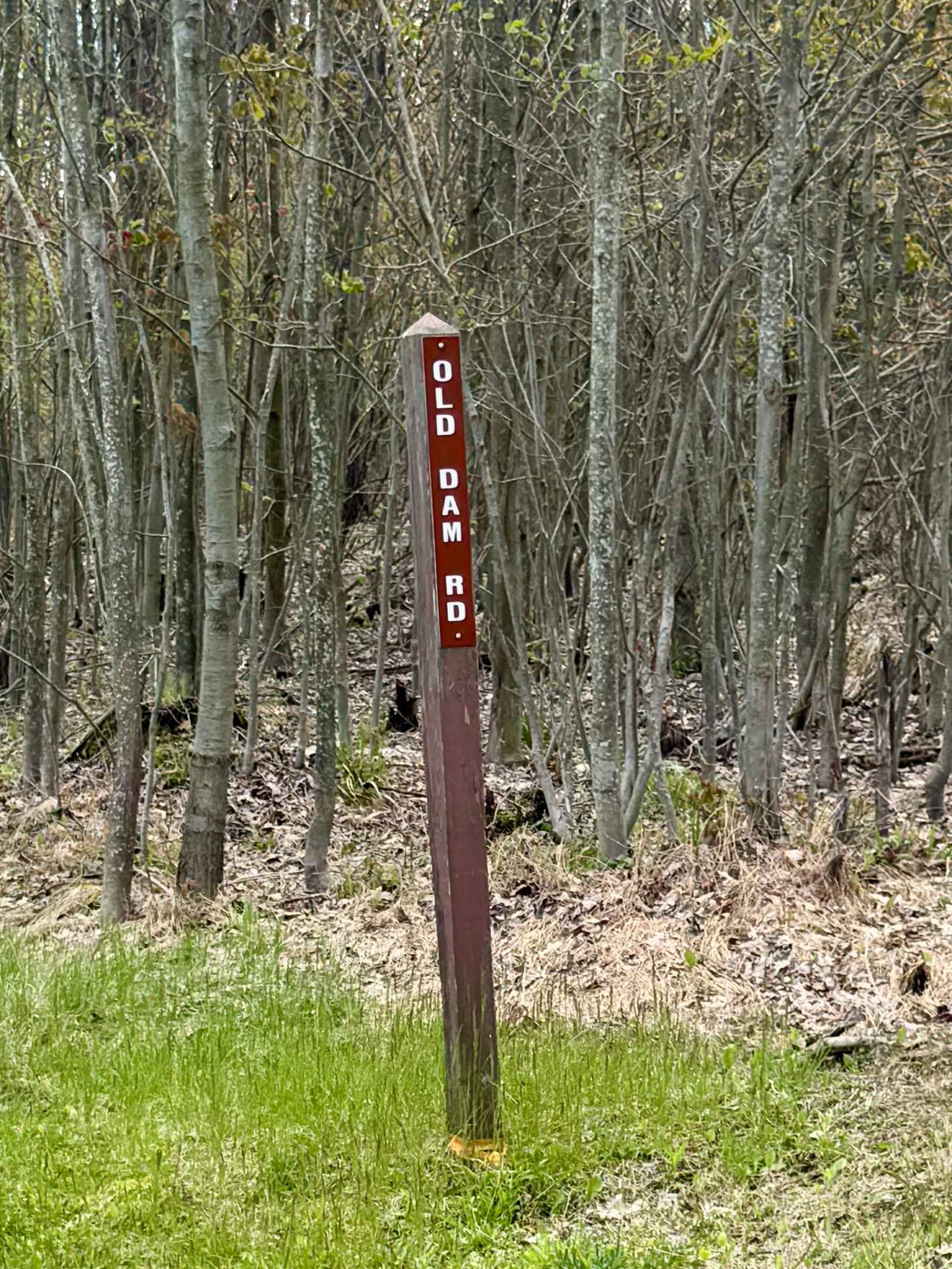 Old Dam Road