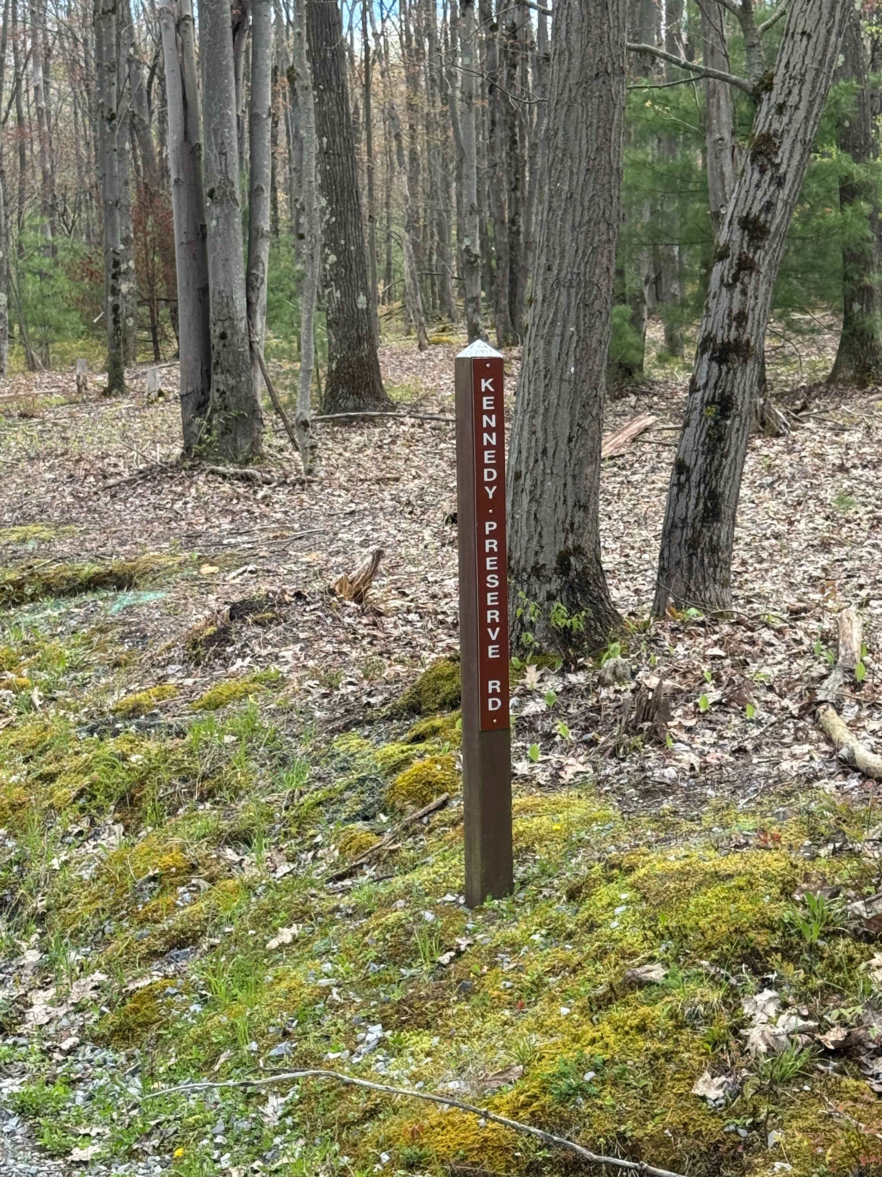 Kennedy Preserve Road