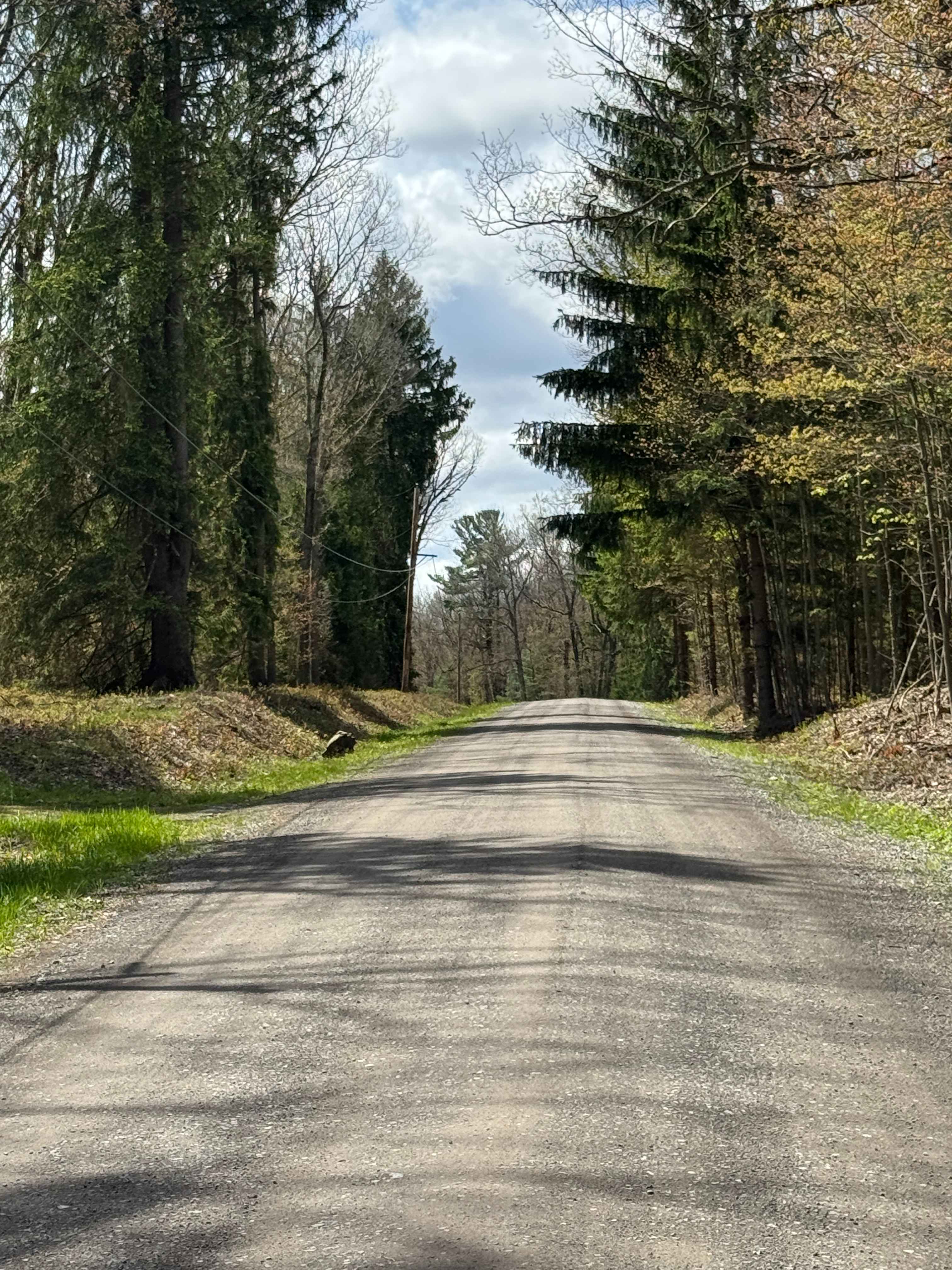 Kennedy Preserve Road