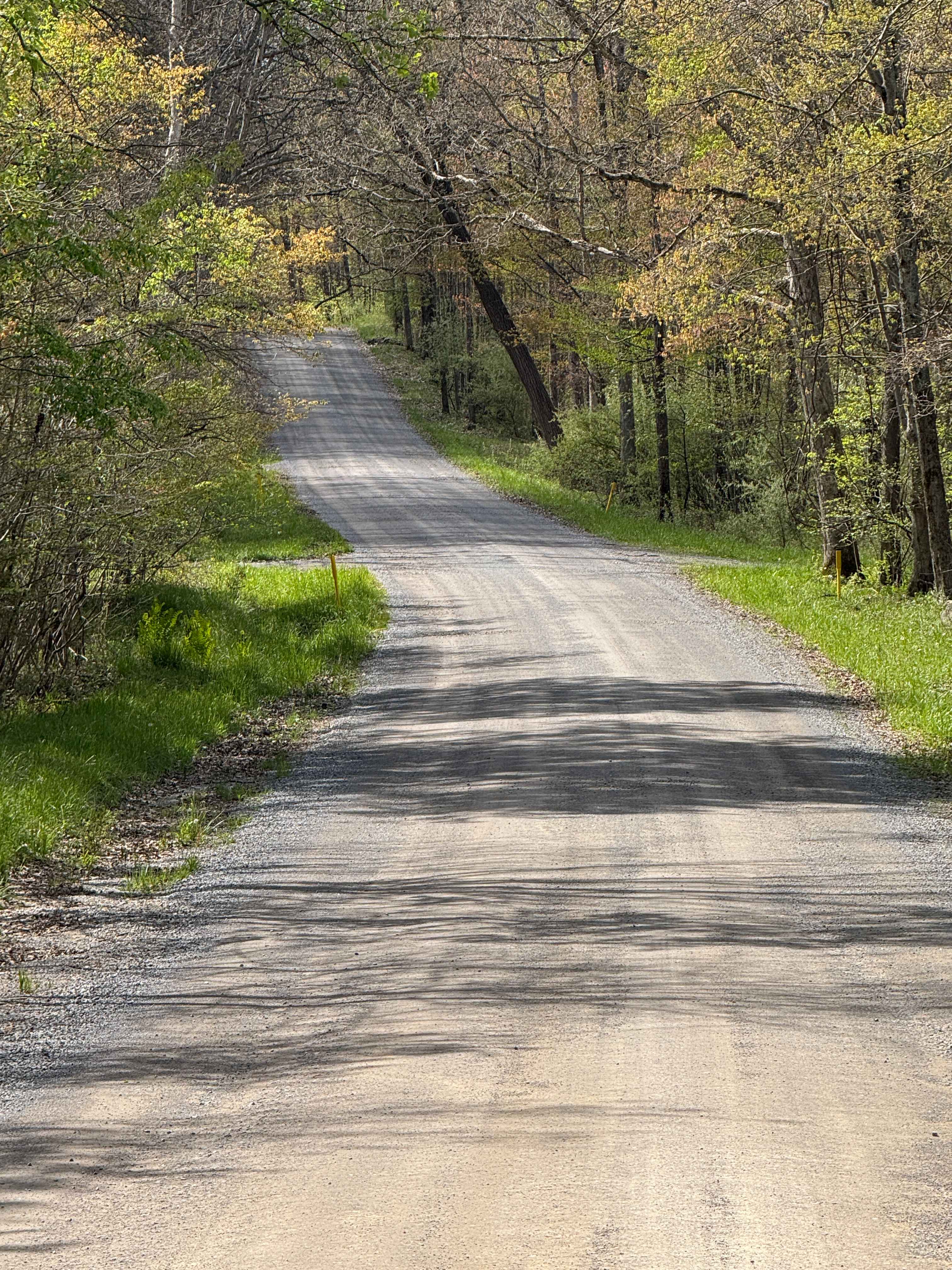 McGeorge Road