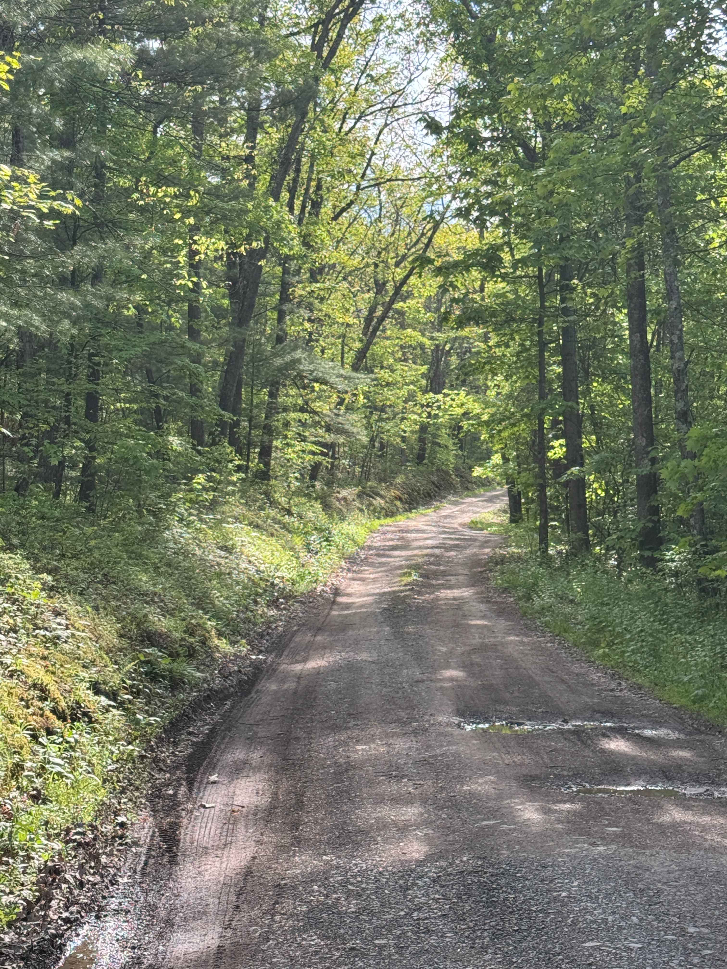 Greens Run Road