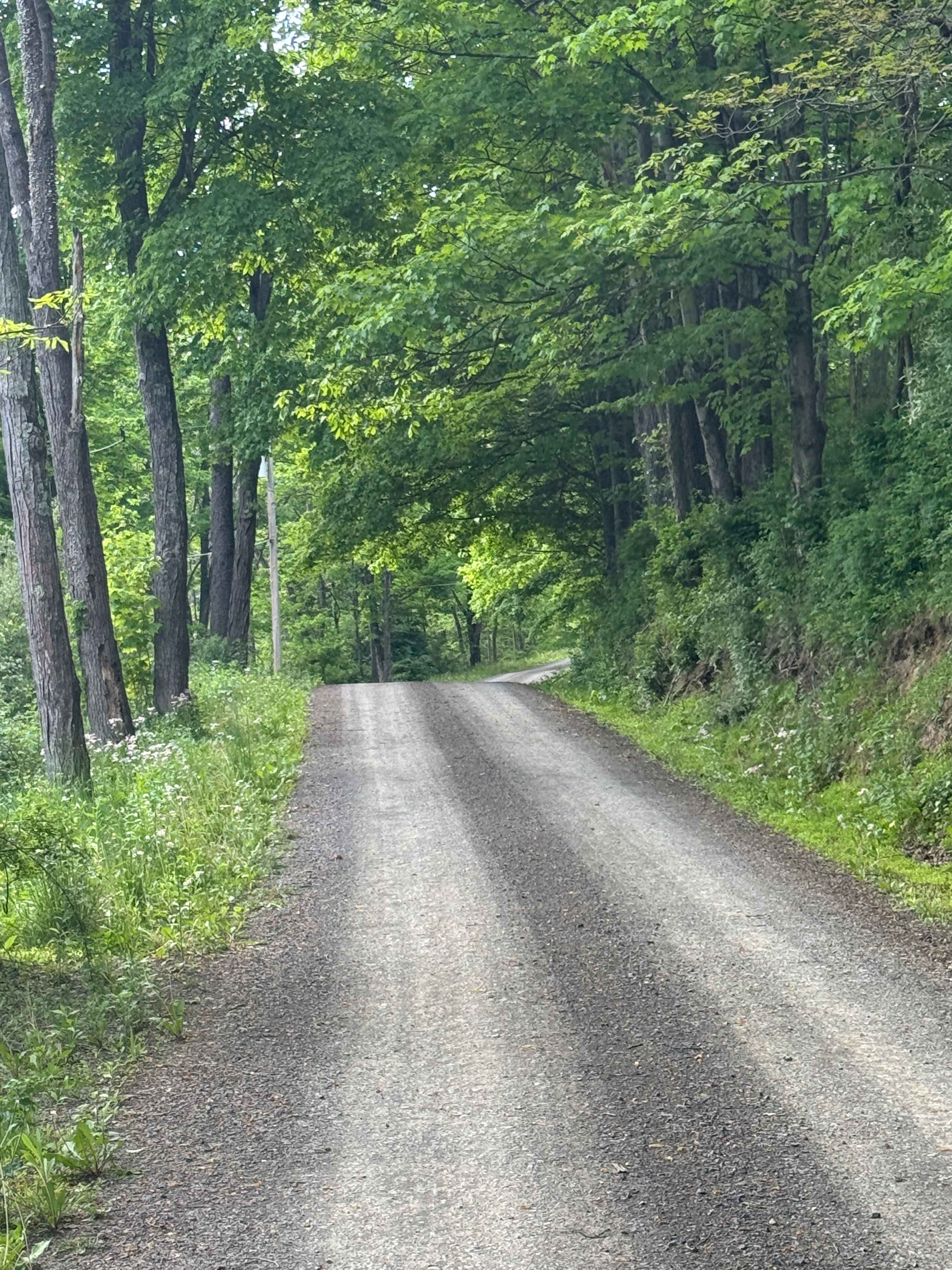 Greens Run Road
