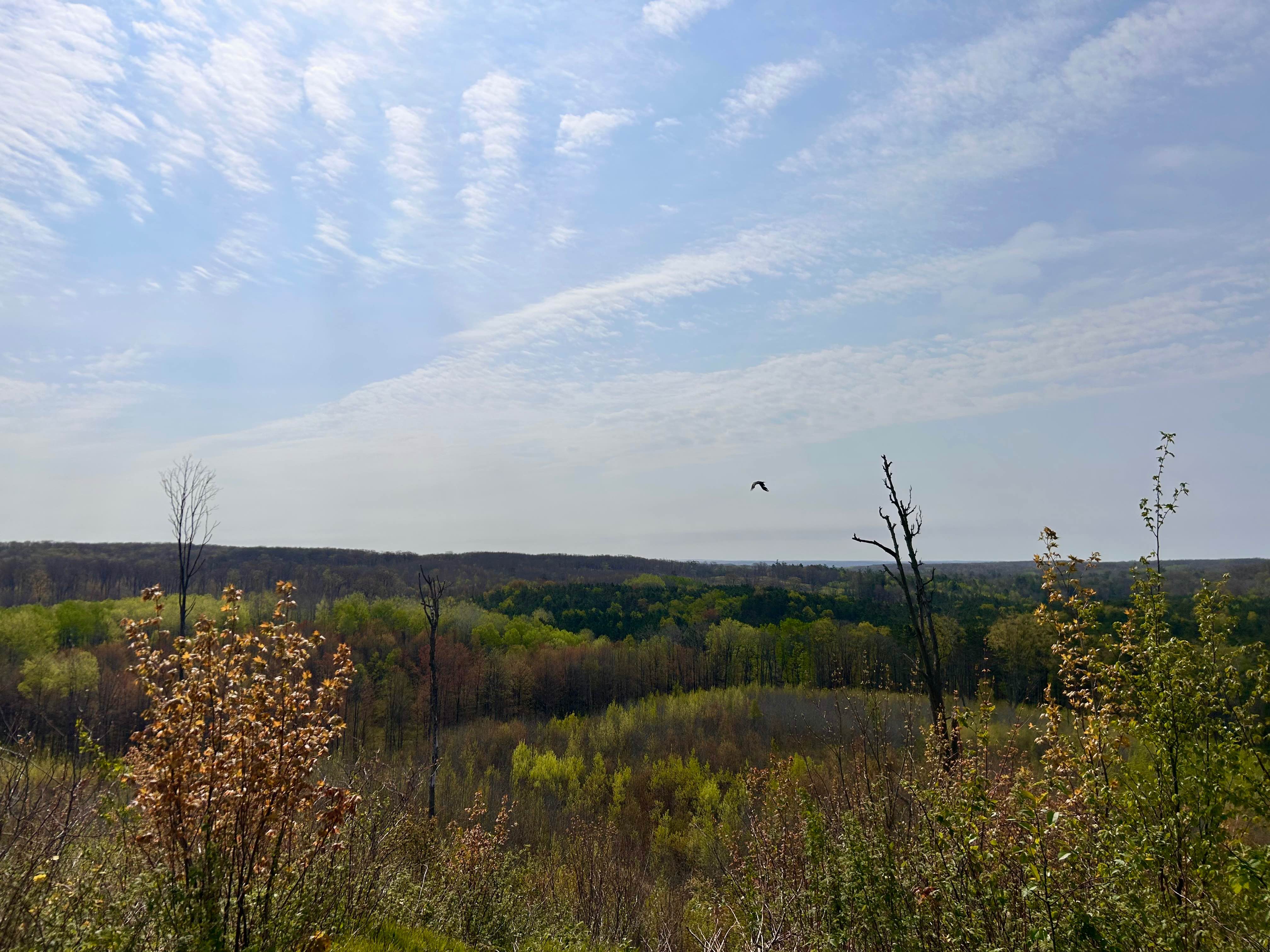 Evart Overlook