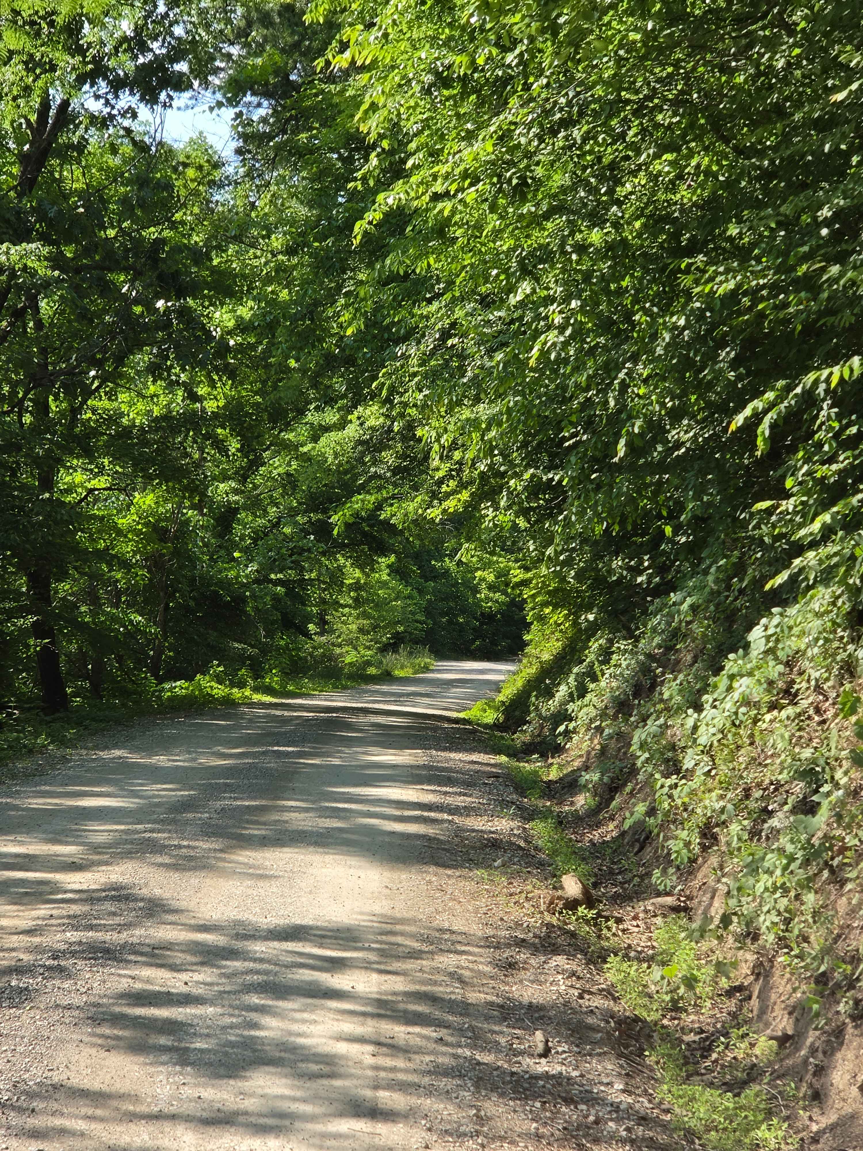 Newfound Road