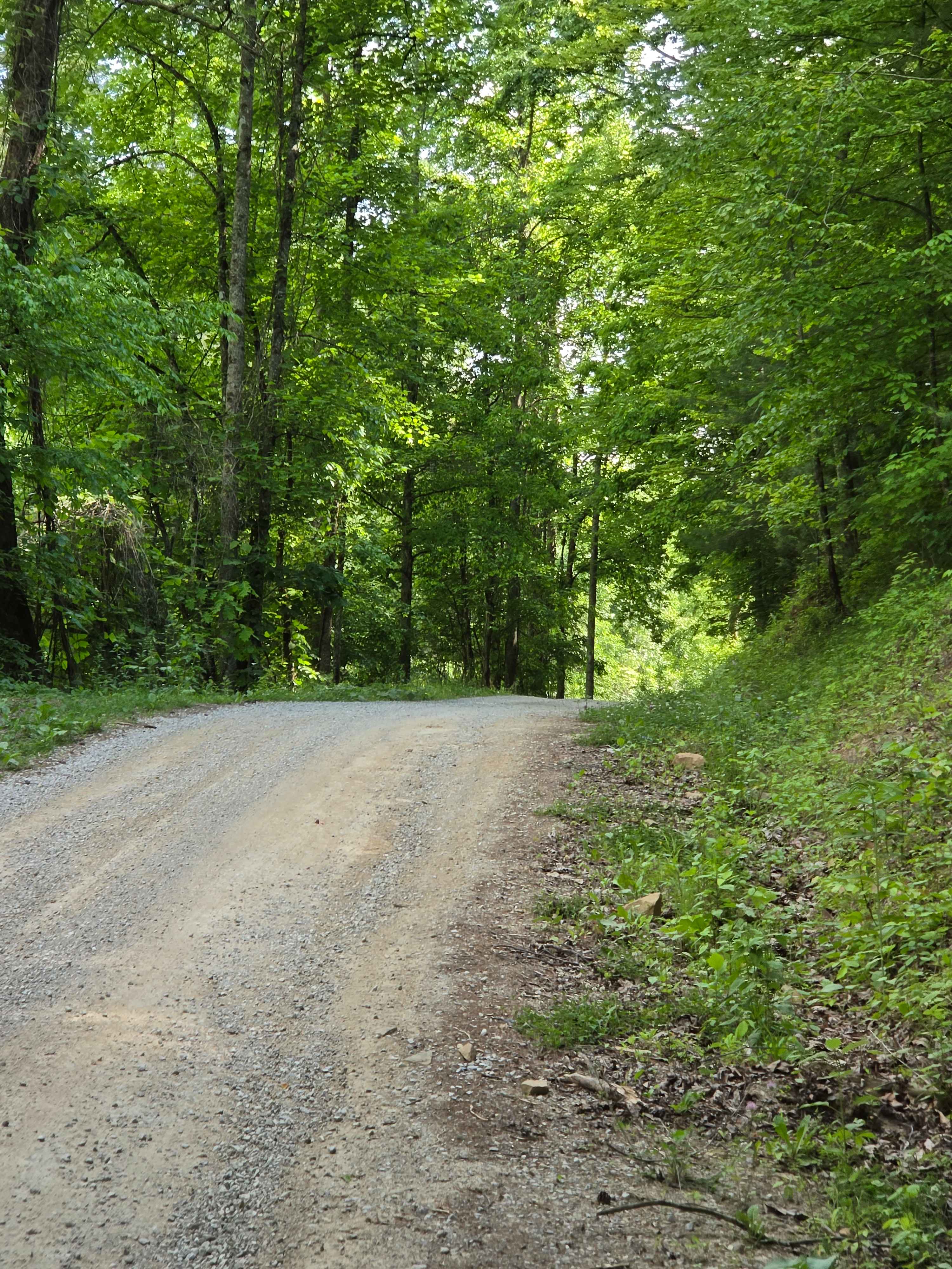 Newfound Road