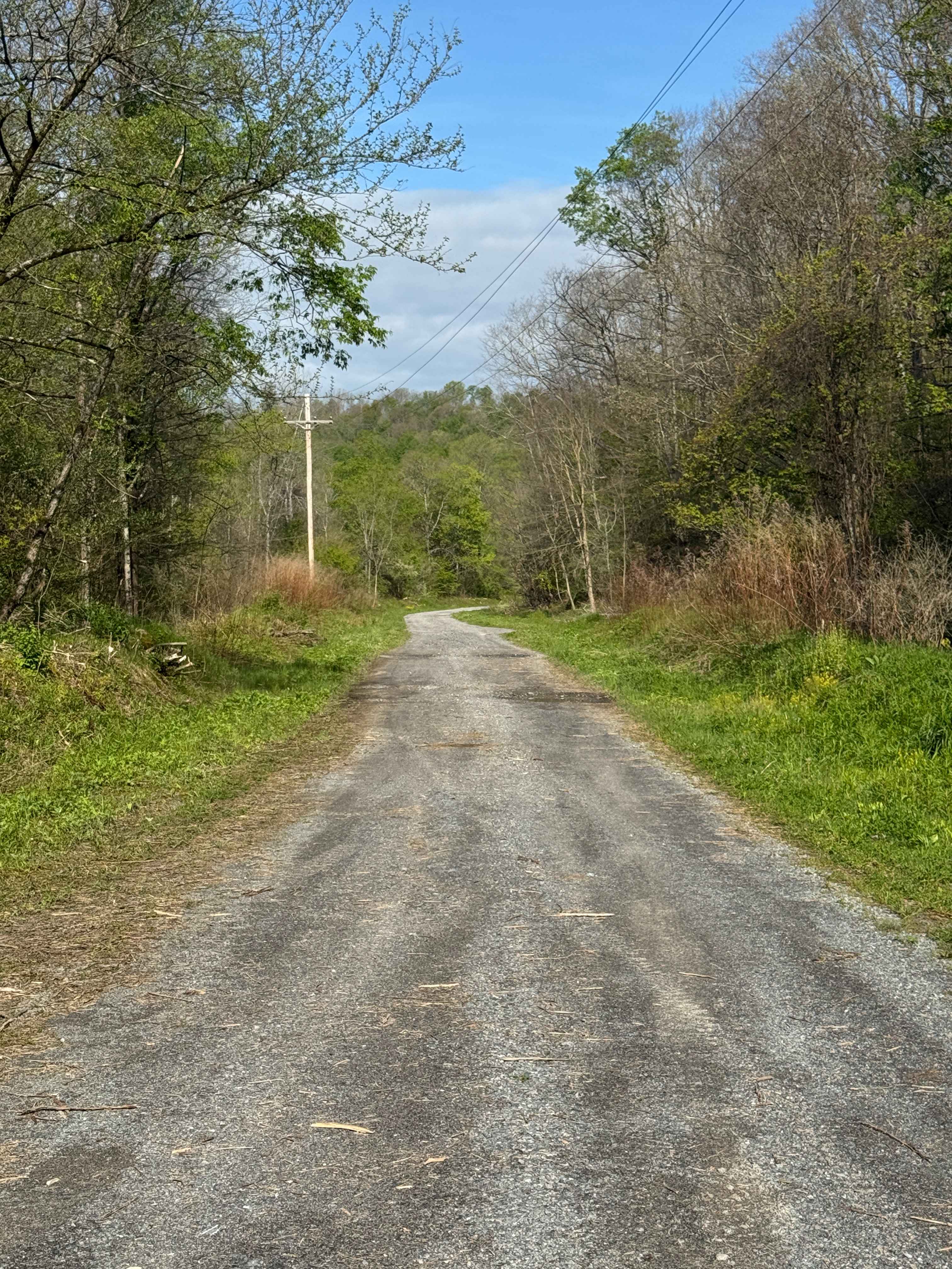 Bark Camp Road
