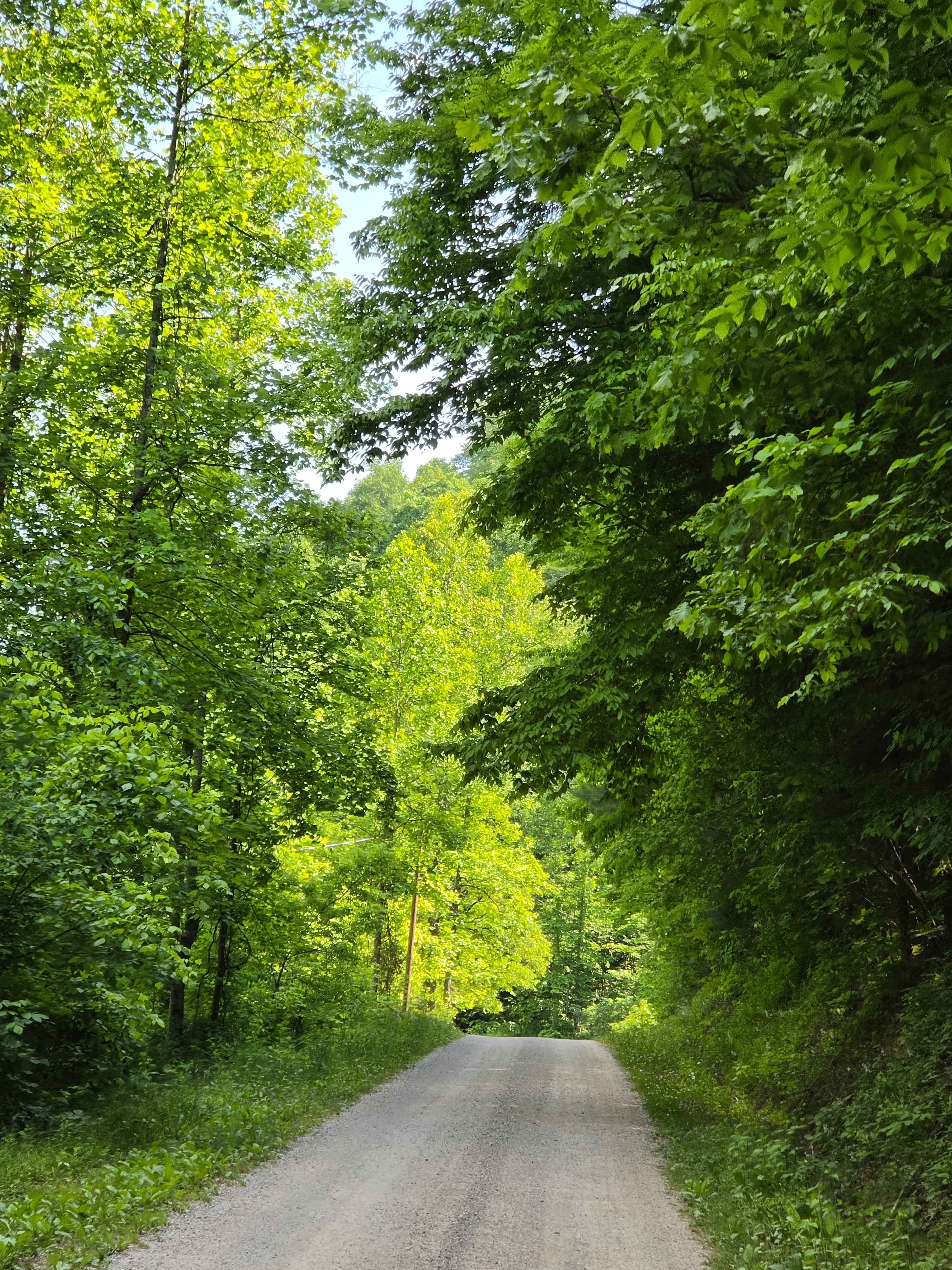 Stone Gap Road
