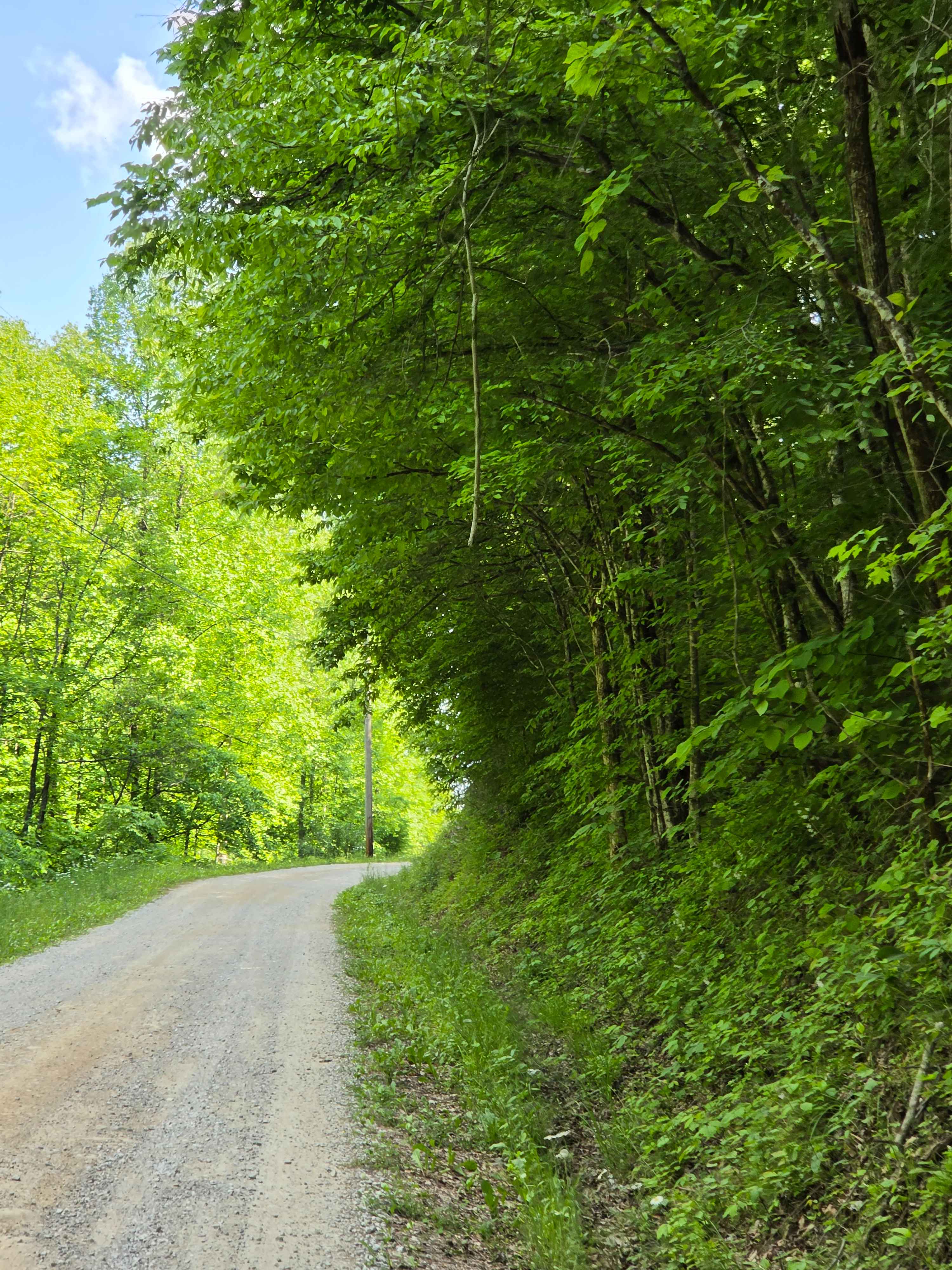 Stone Gap Road