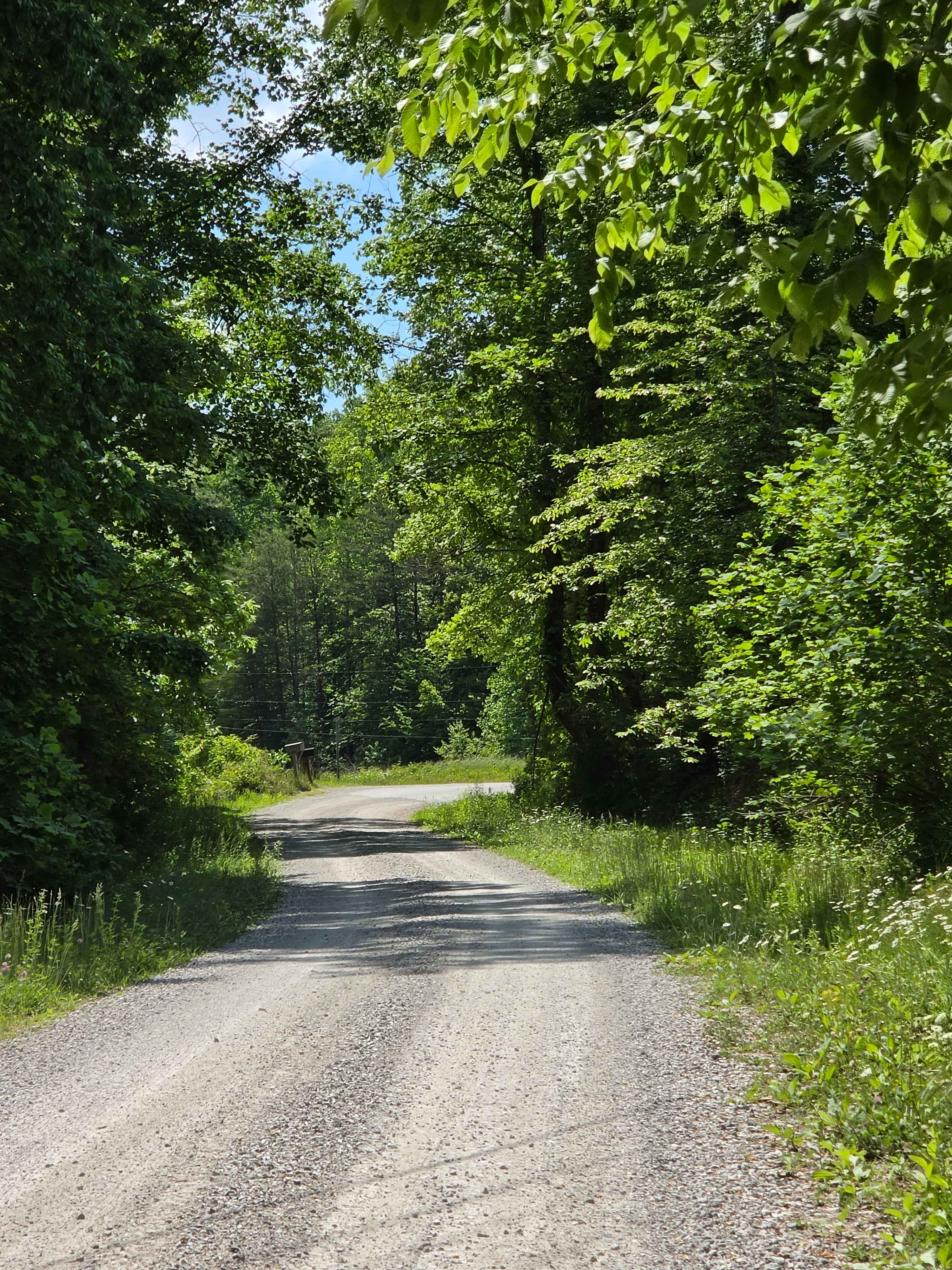 Cool Springs Road
