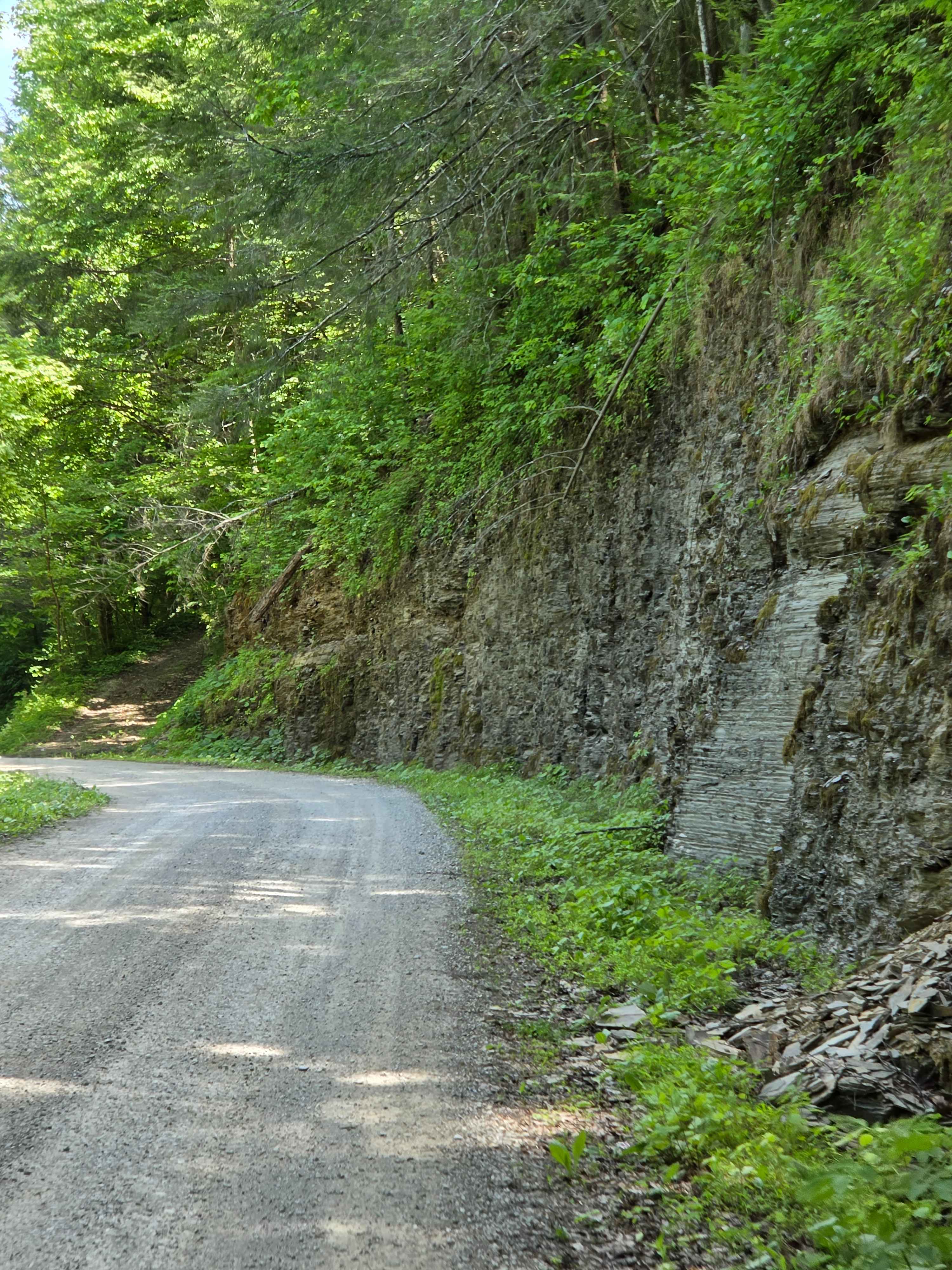 Saddler Road