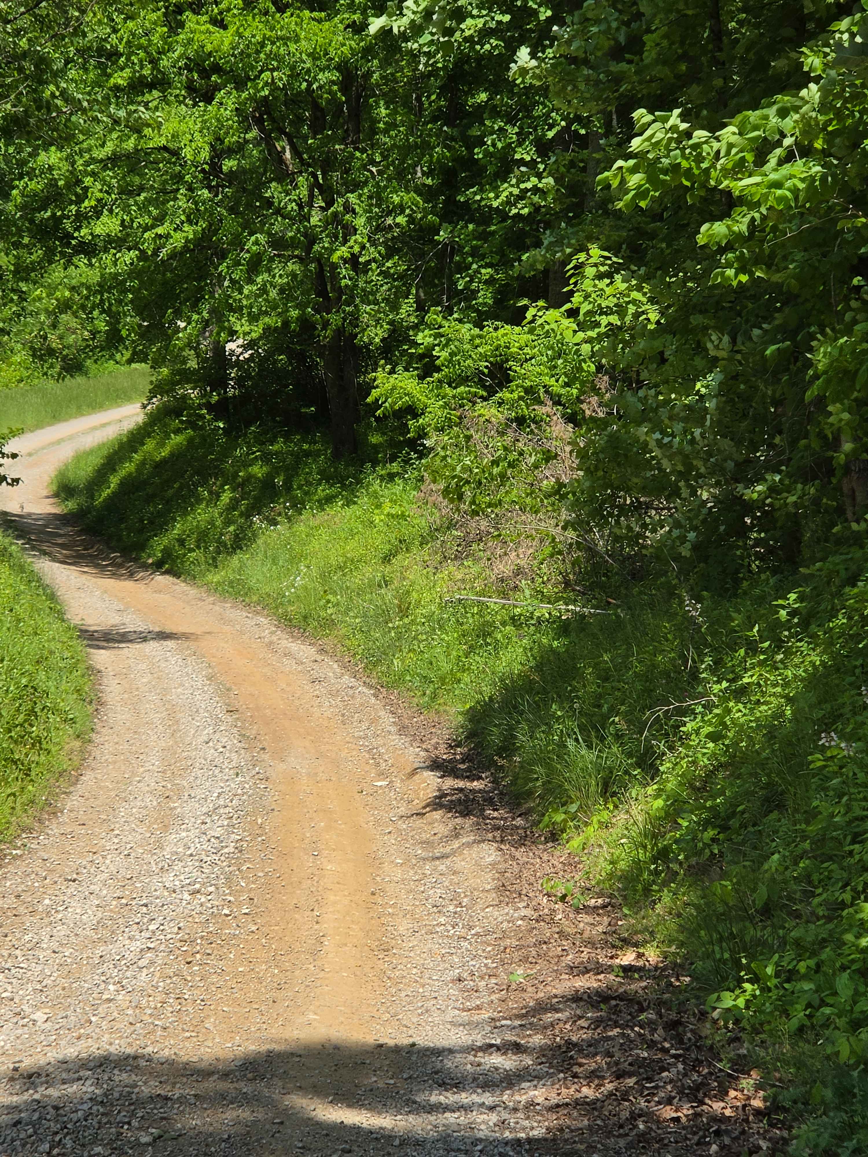 Felty Road