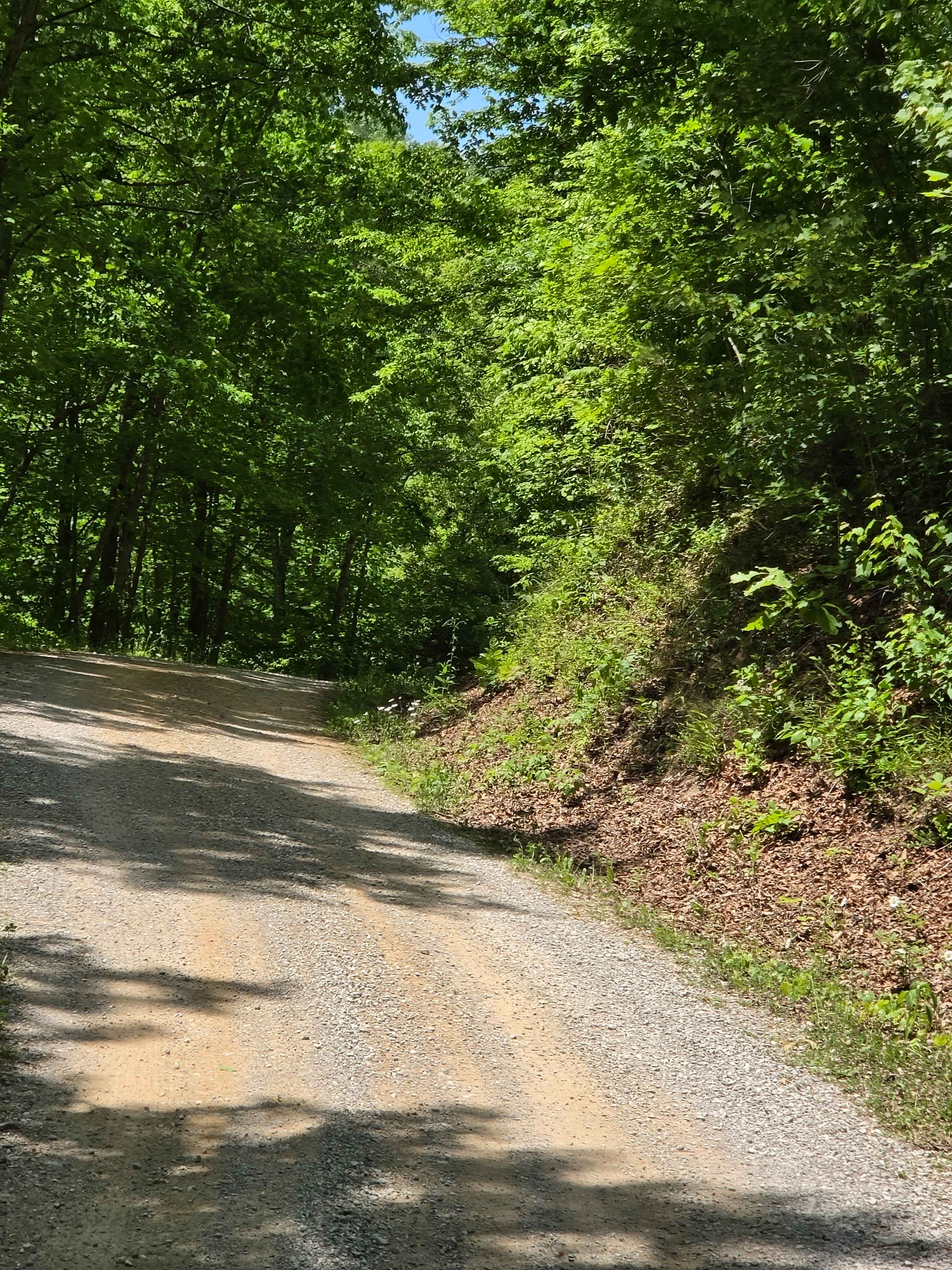 Felty Road