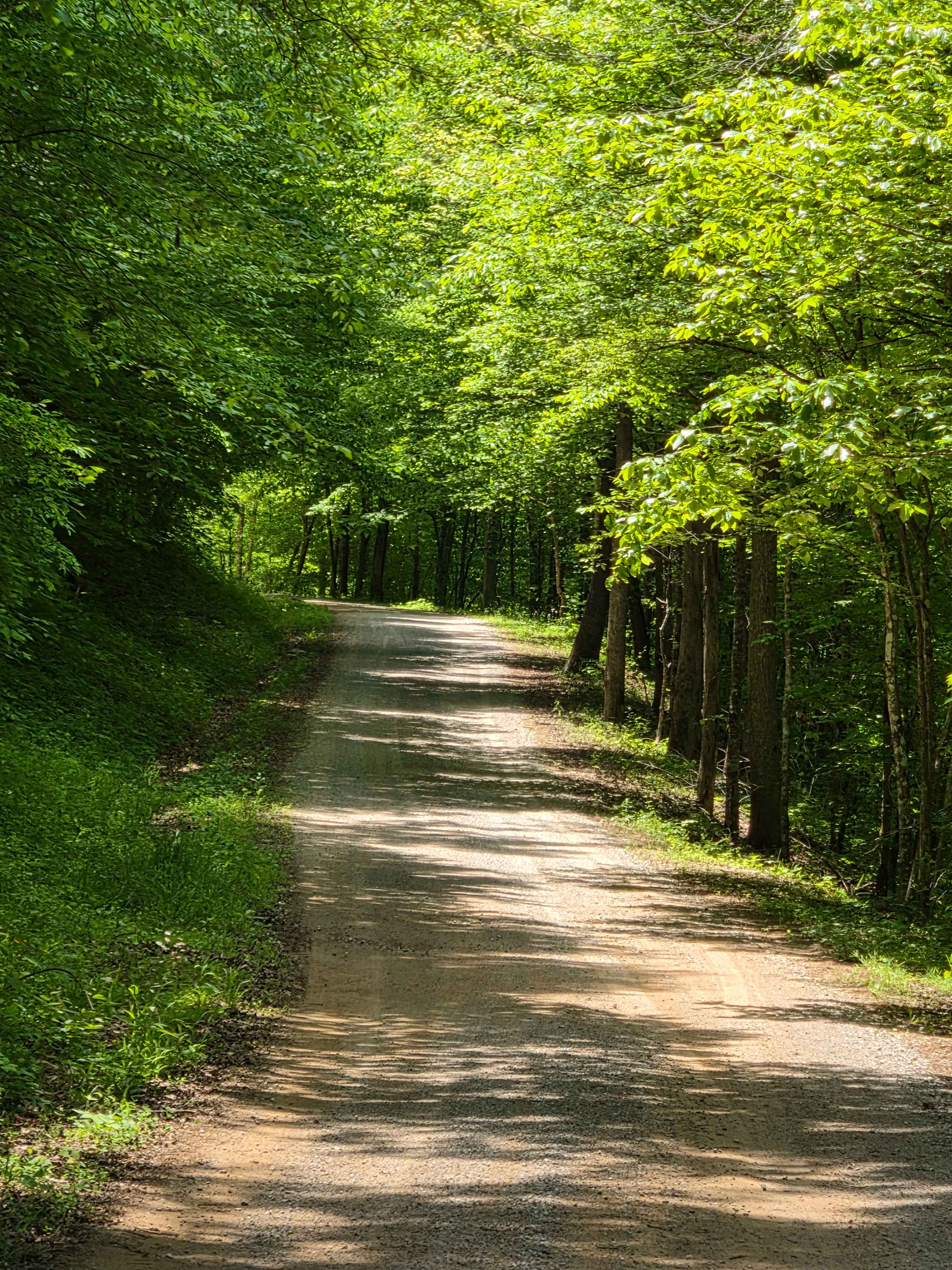 Slash Road