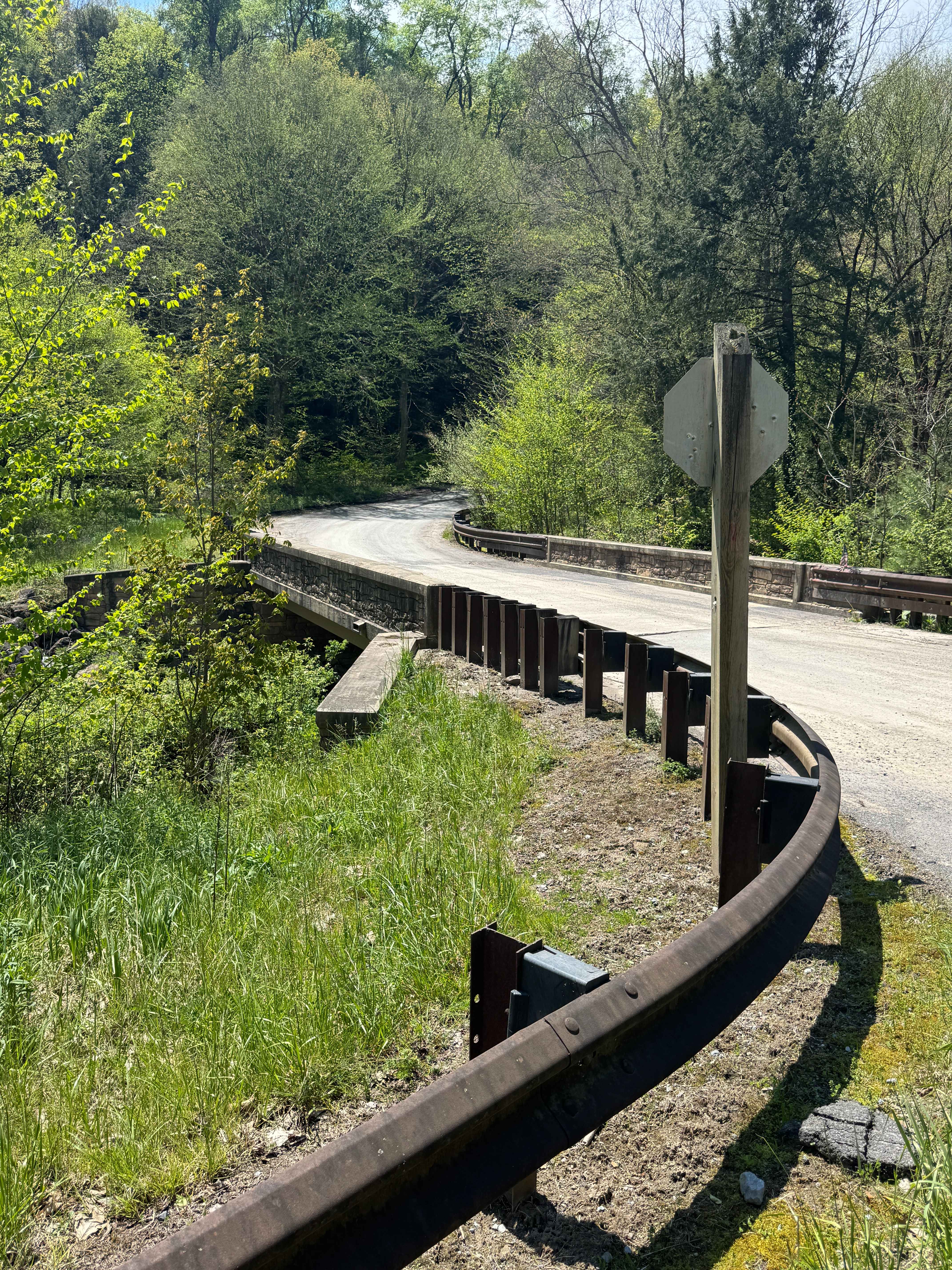 Porcupine Road
