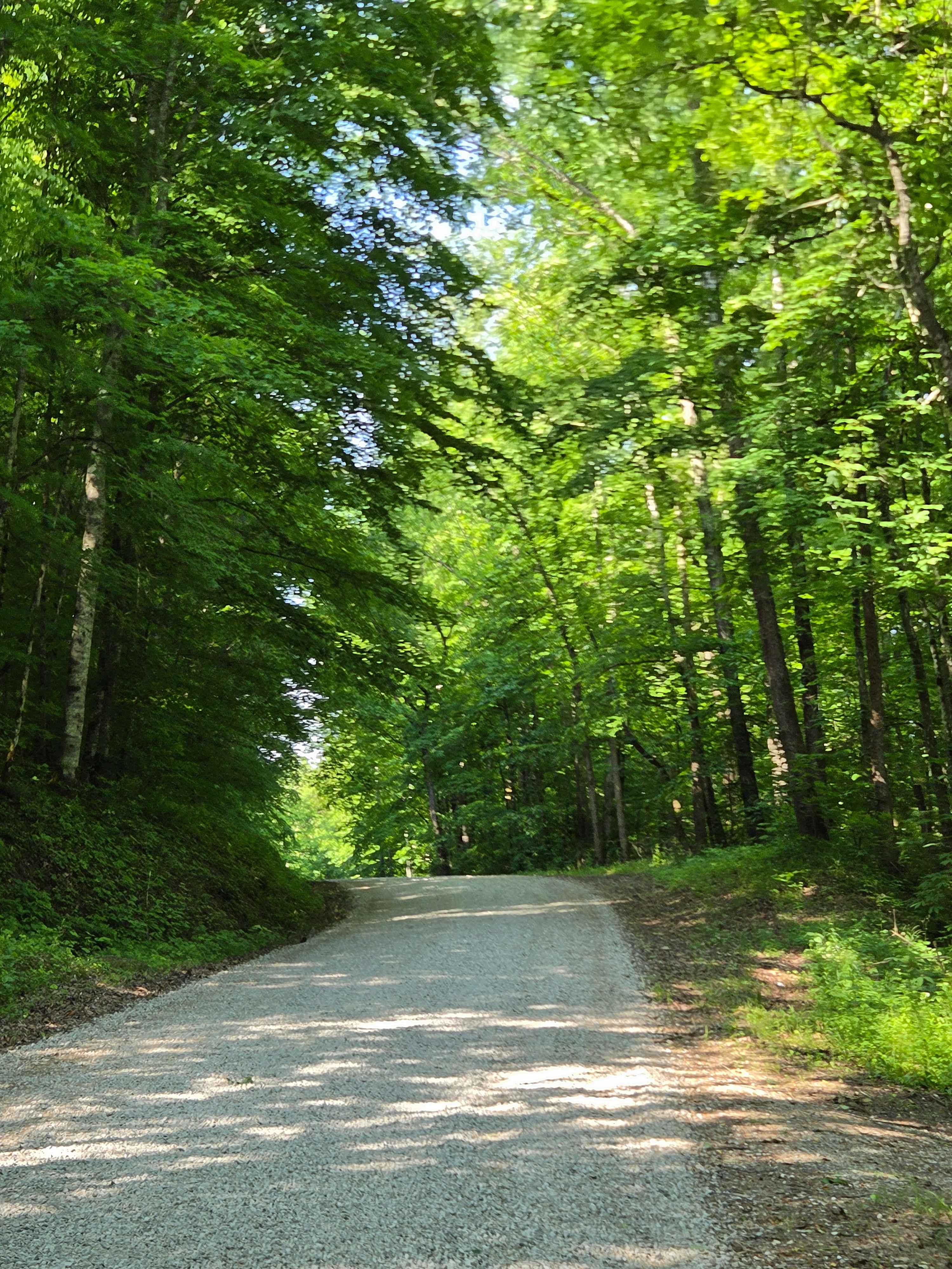 Fish Creek