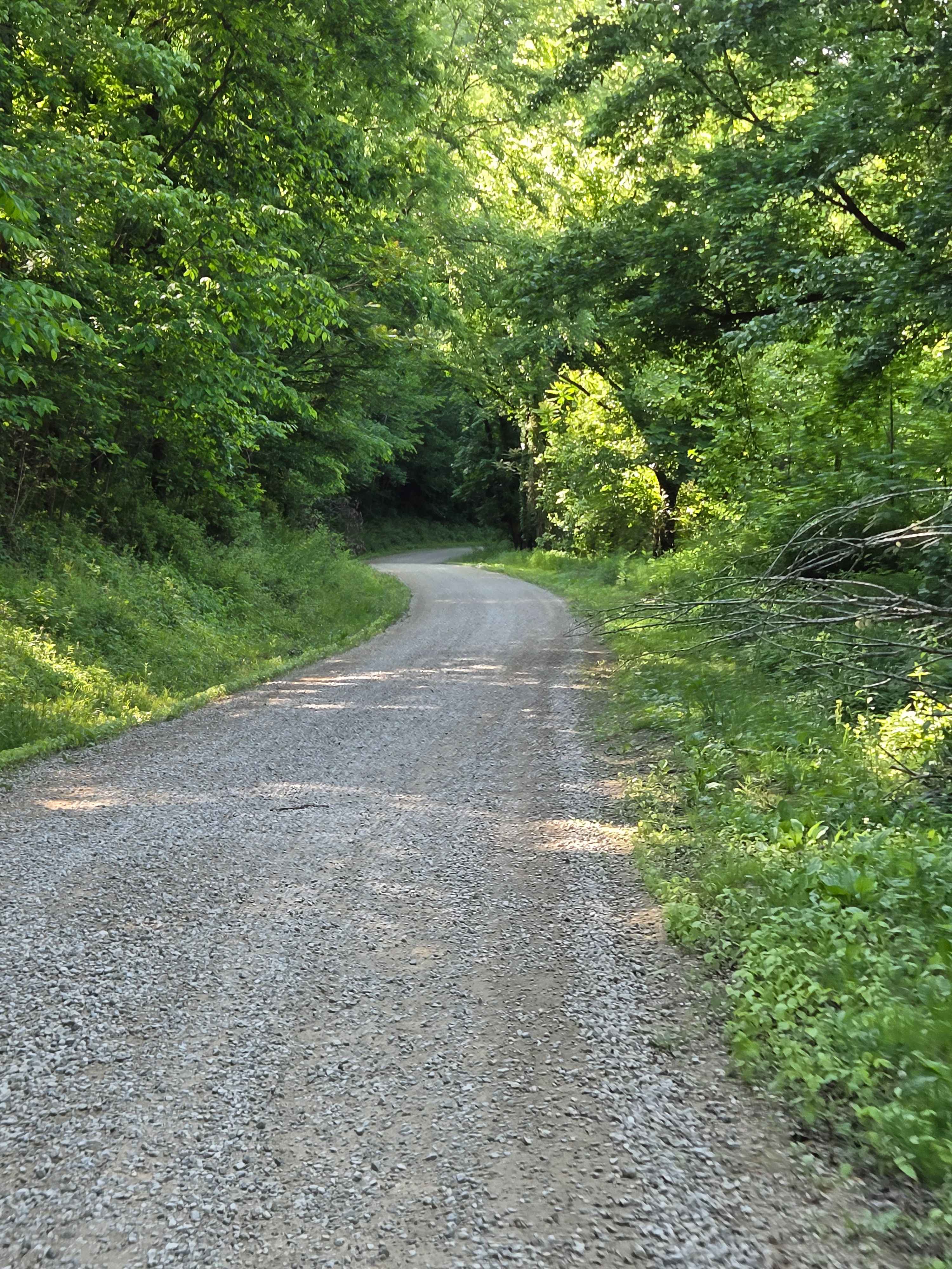 Fish Creek