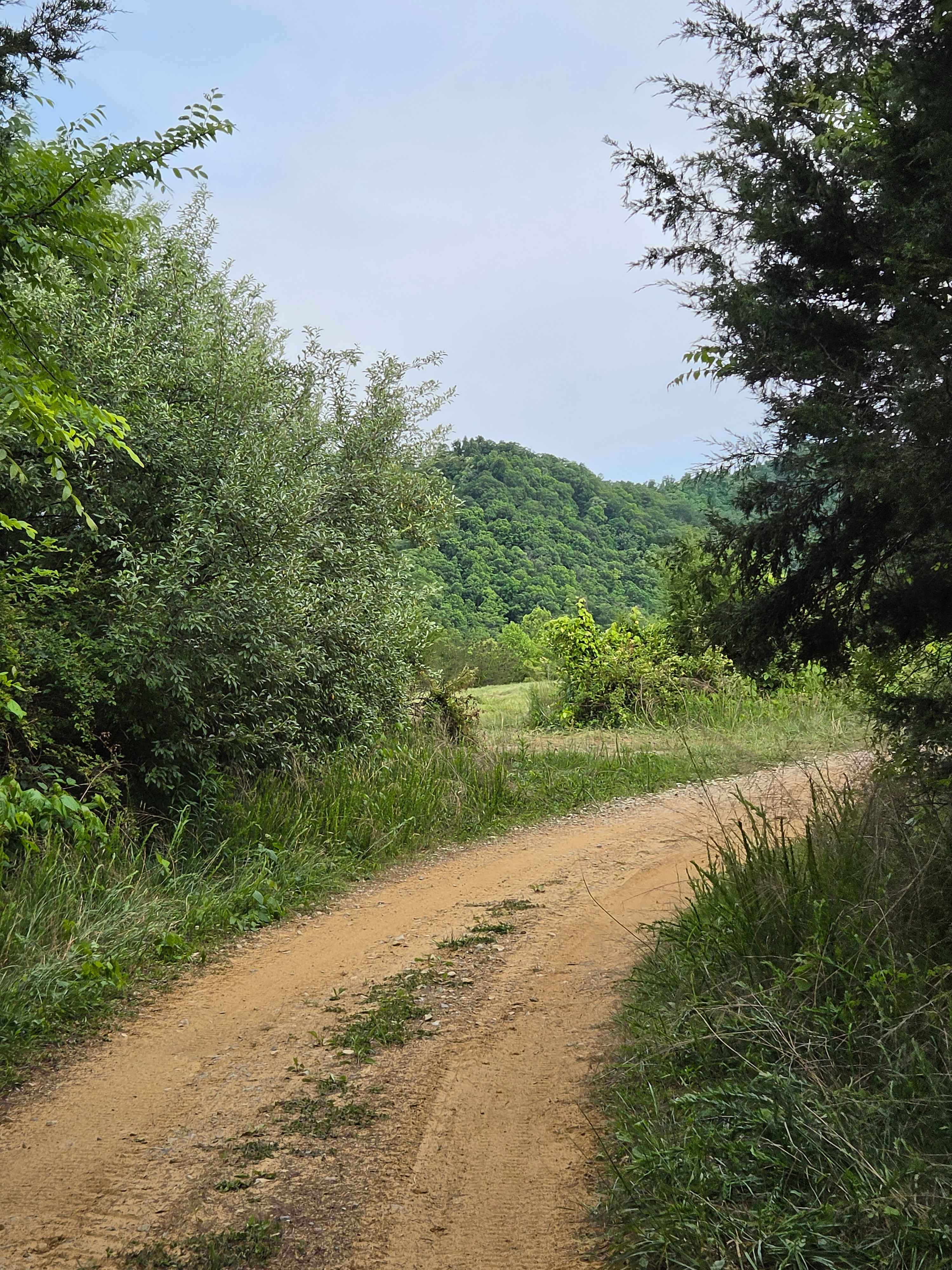 Jim Callahan Road