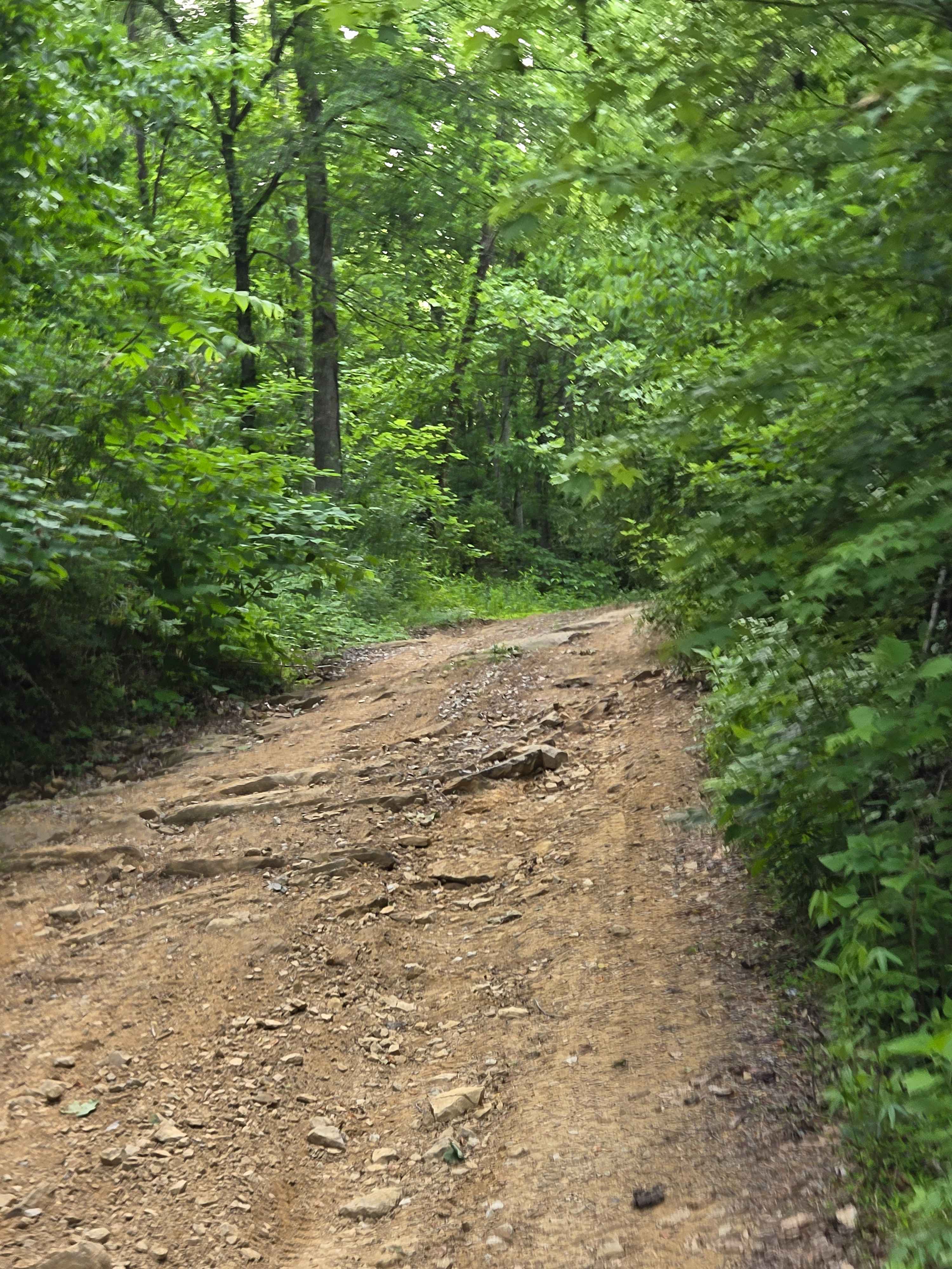 Jim Callahan Road
