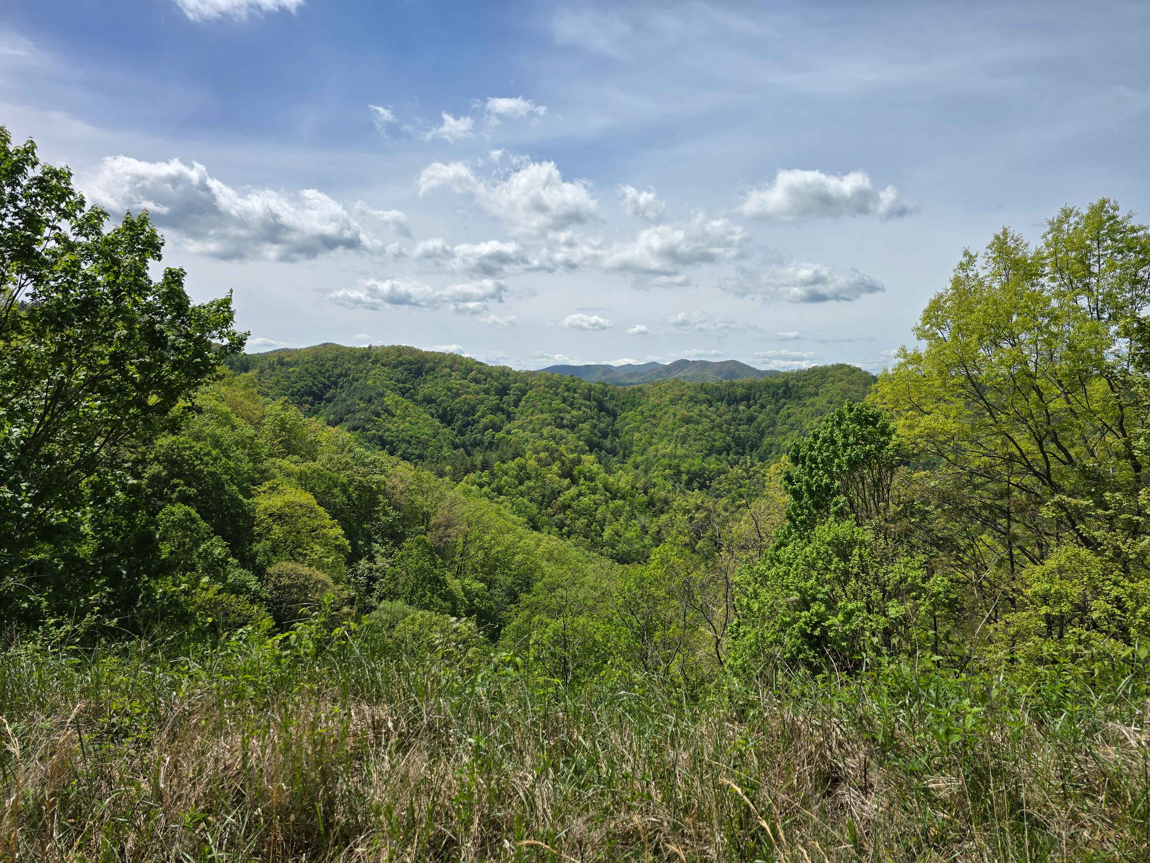 Shell Stand Road