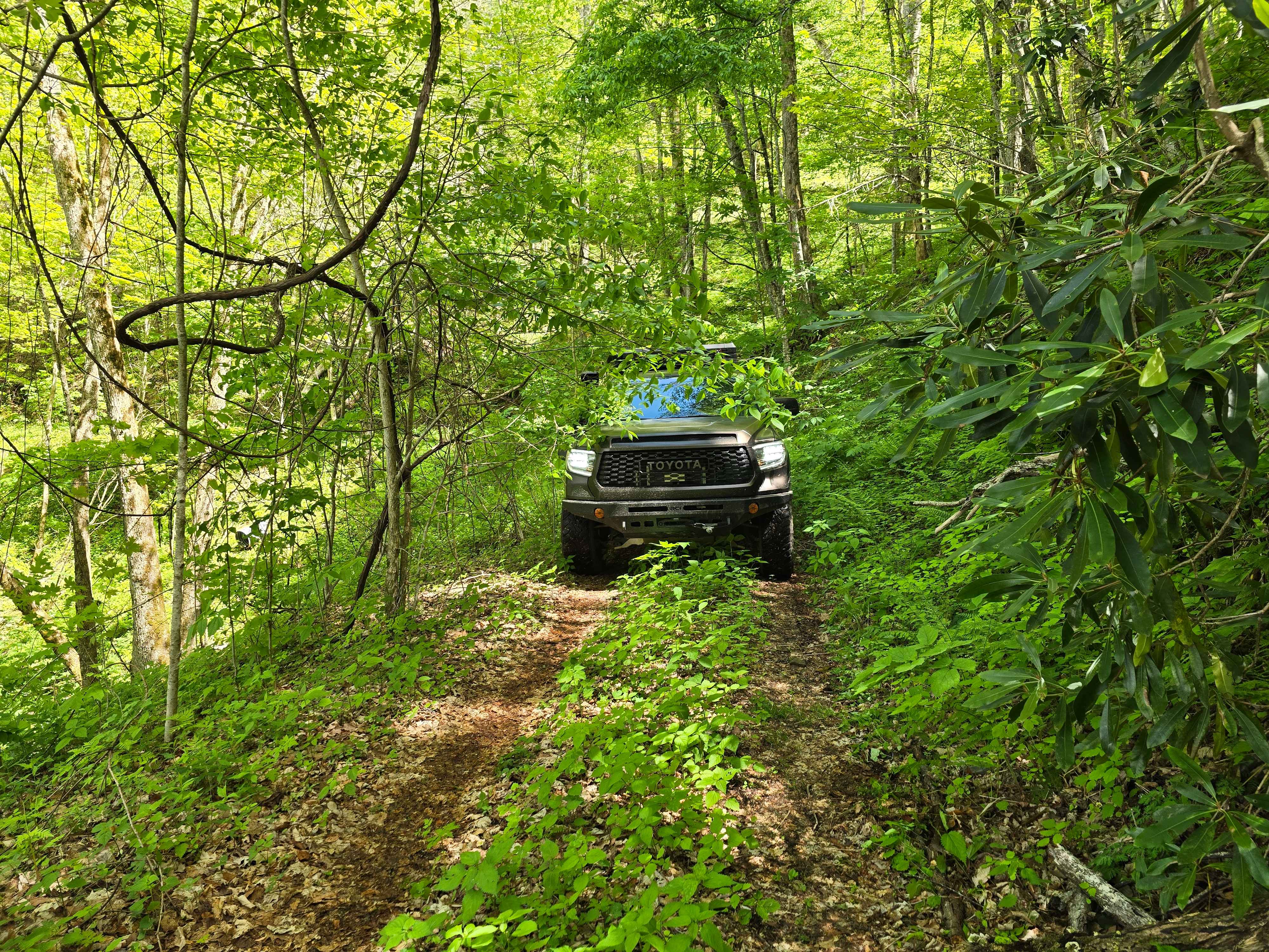 Shell Stand Road