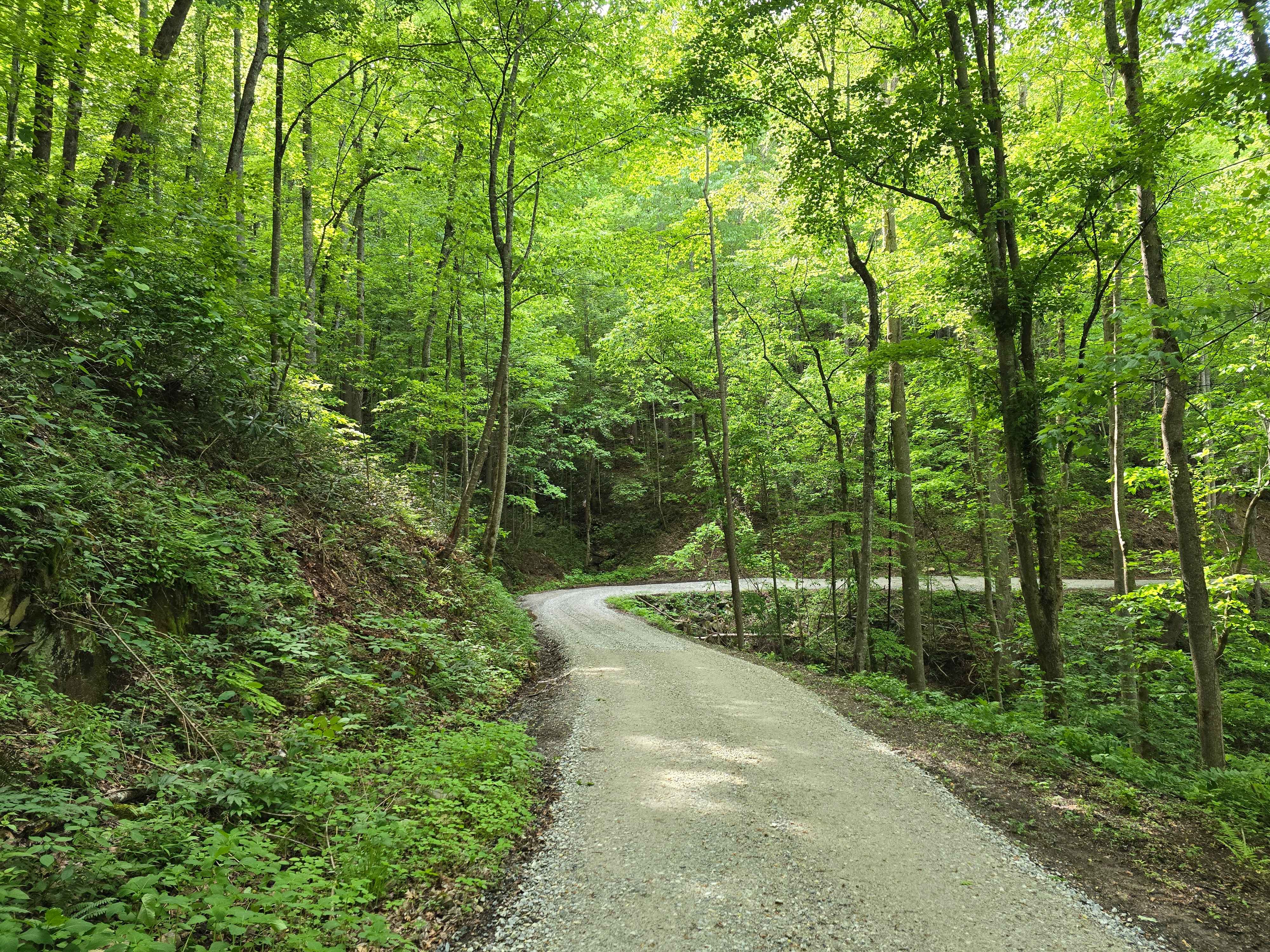 Deep Creek Road
