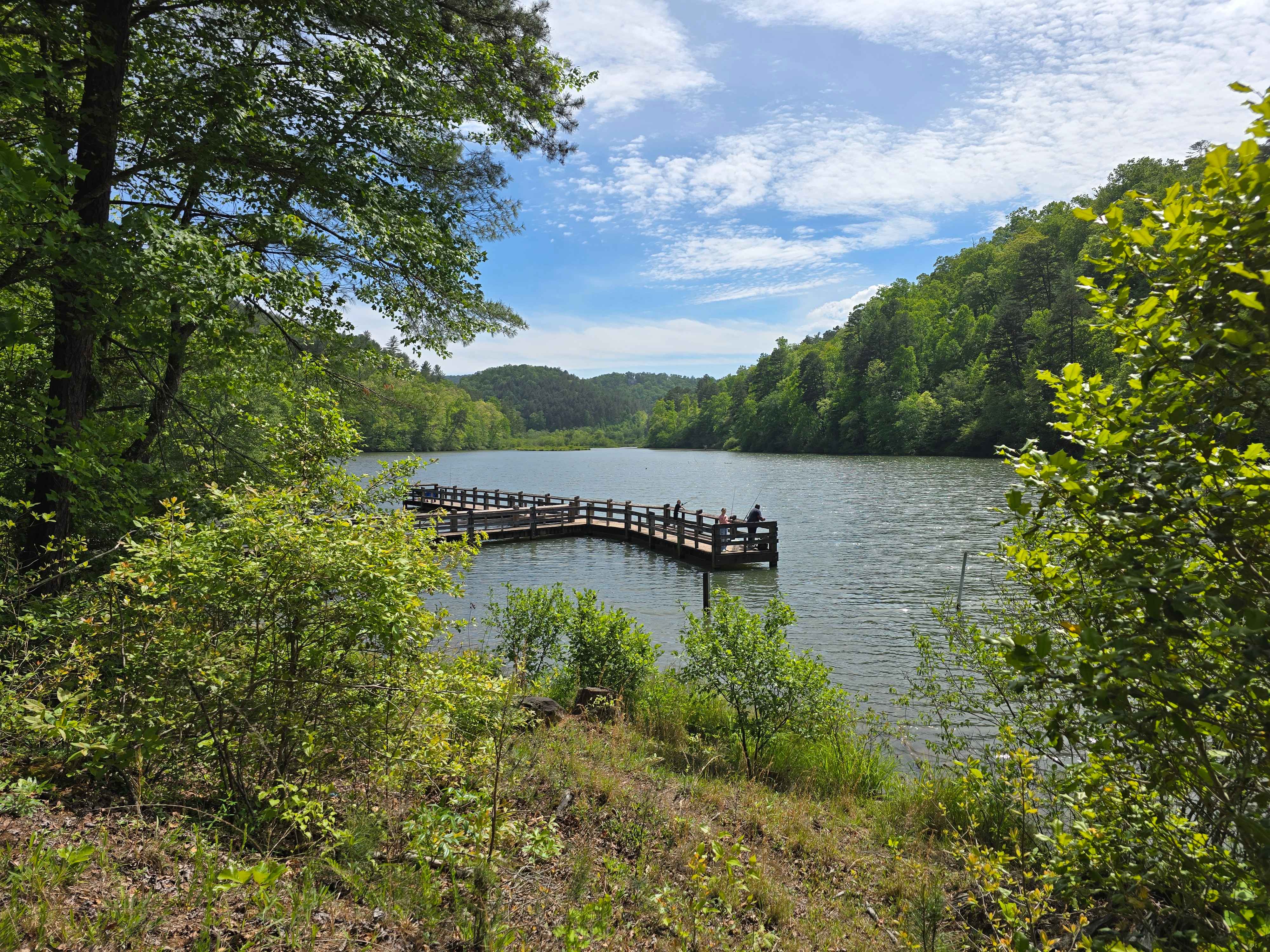 Lake Cherokee Road