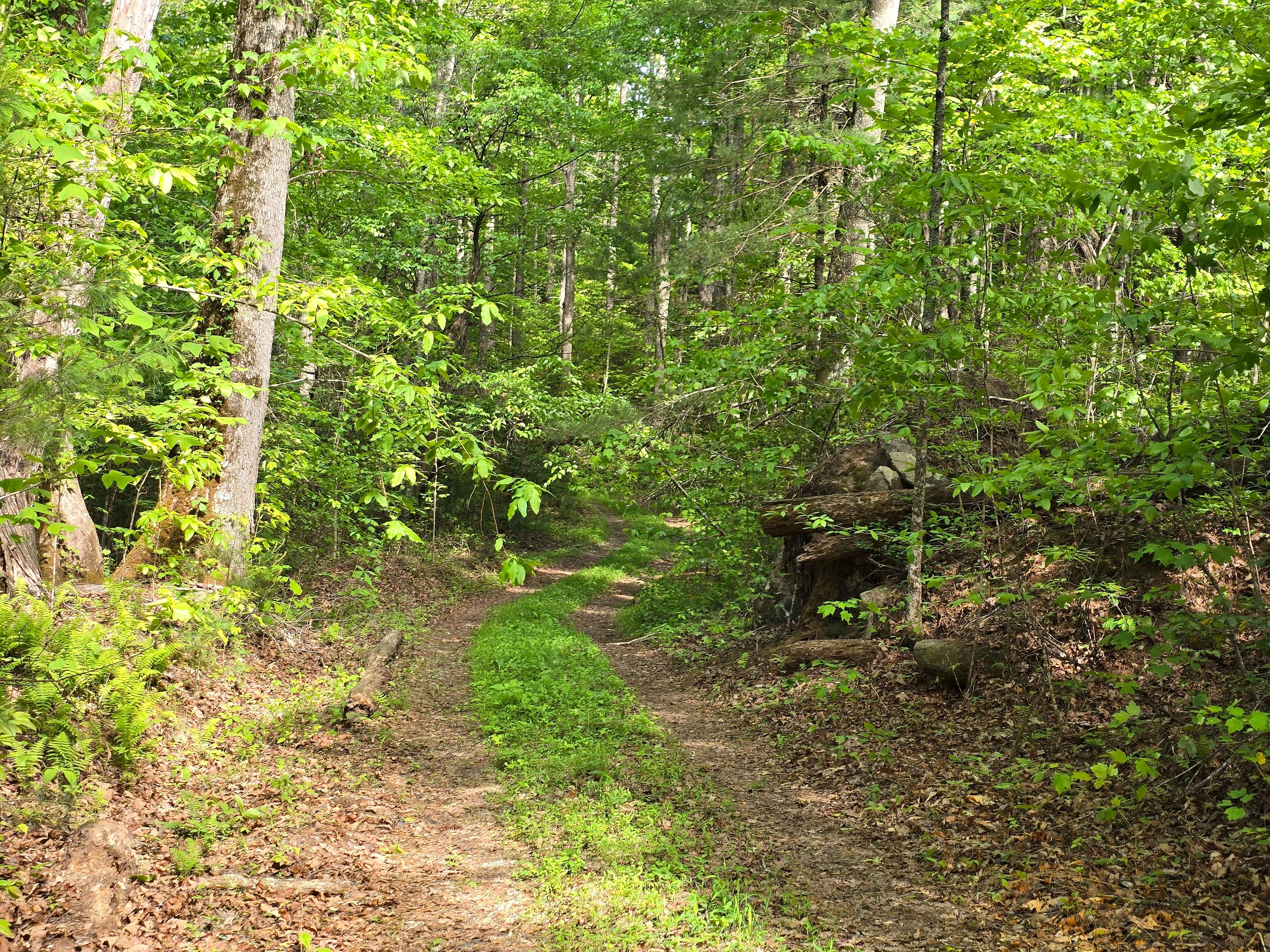 Doc Stiles Road