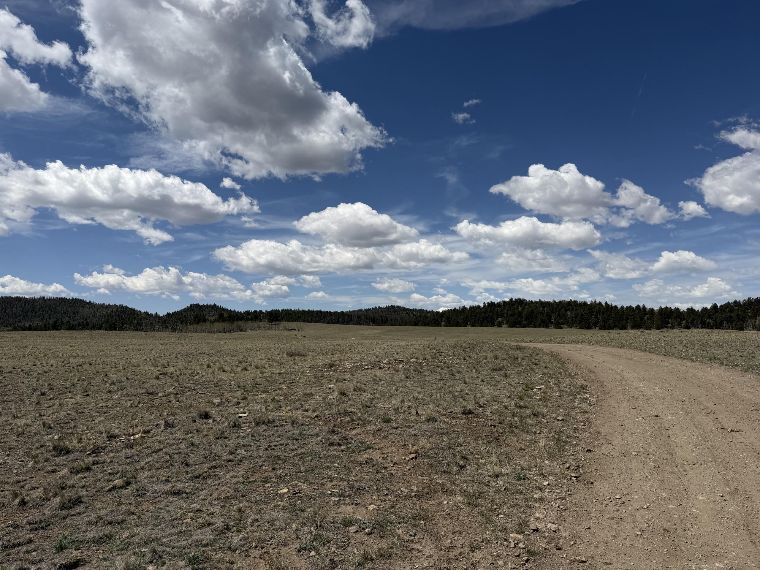 West Columbine Gulch Road