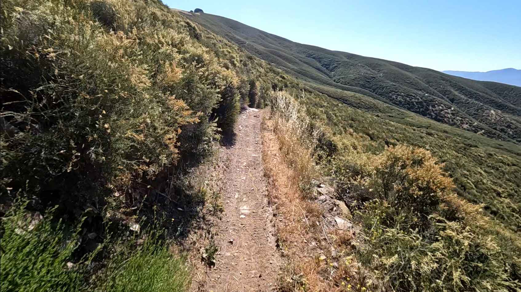 Sierra OHV Trail