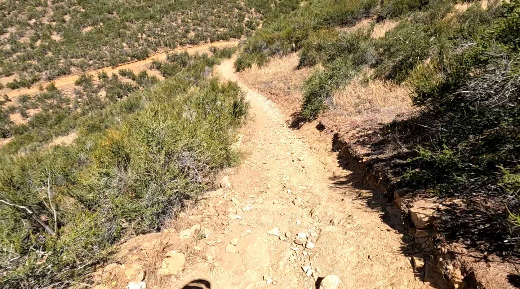 Knob OHV Trail