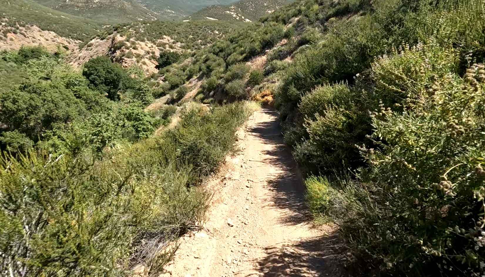 Flat OHV Trail
